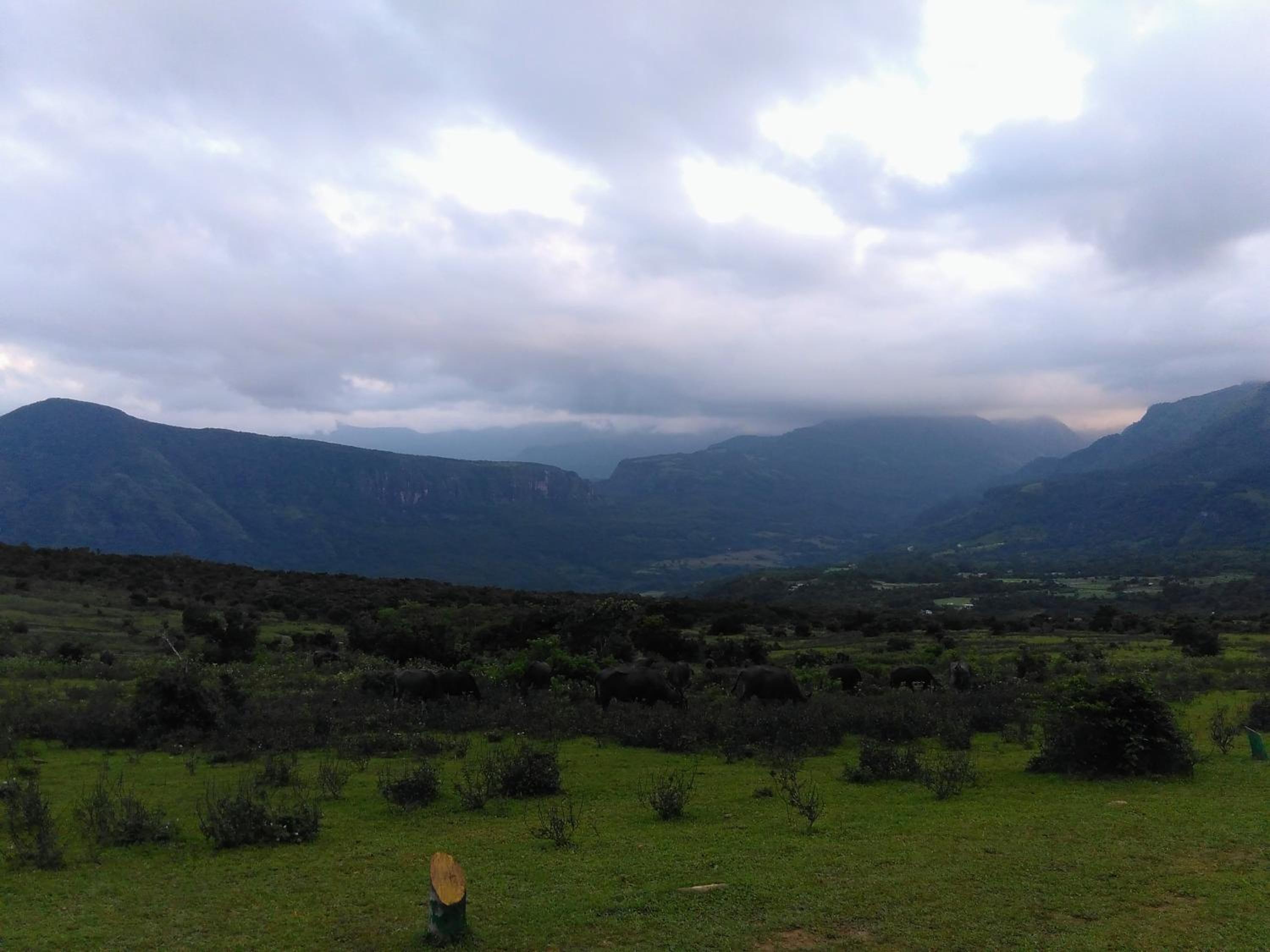 Photo 42