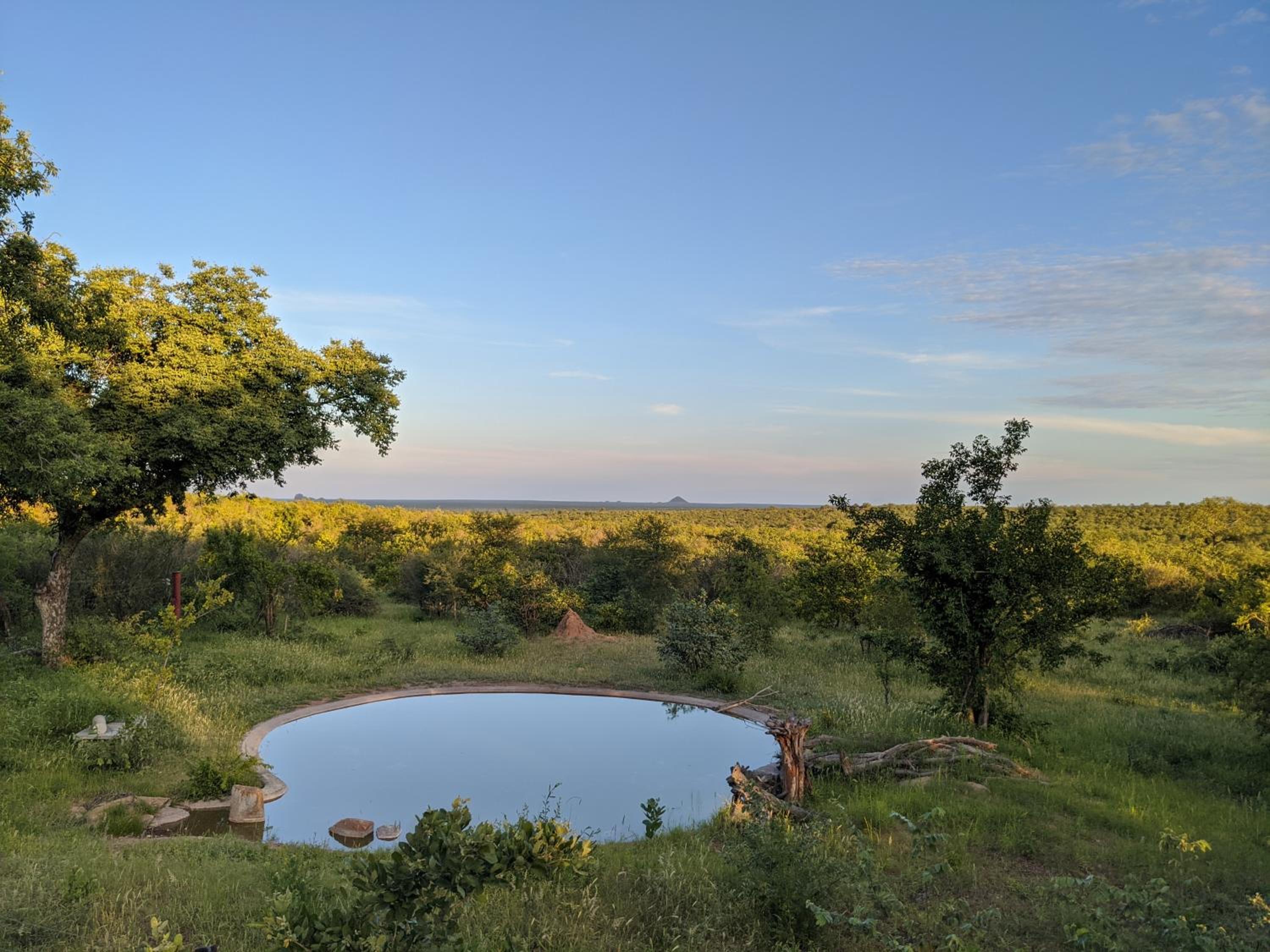 Tingala Lodge - Bed in the Bush view 2