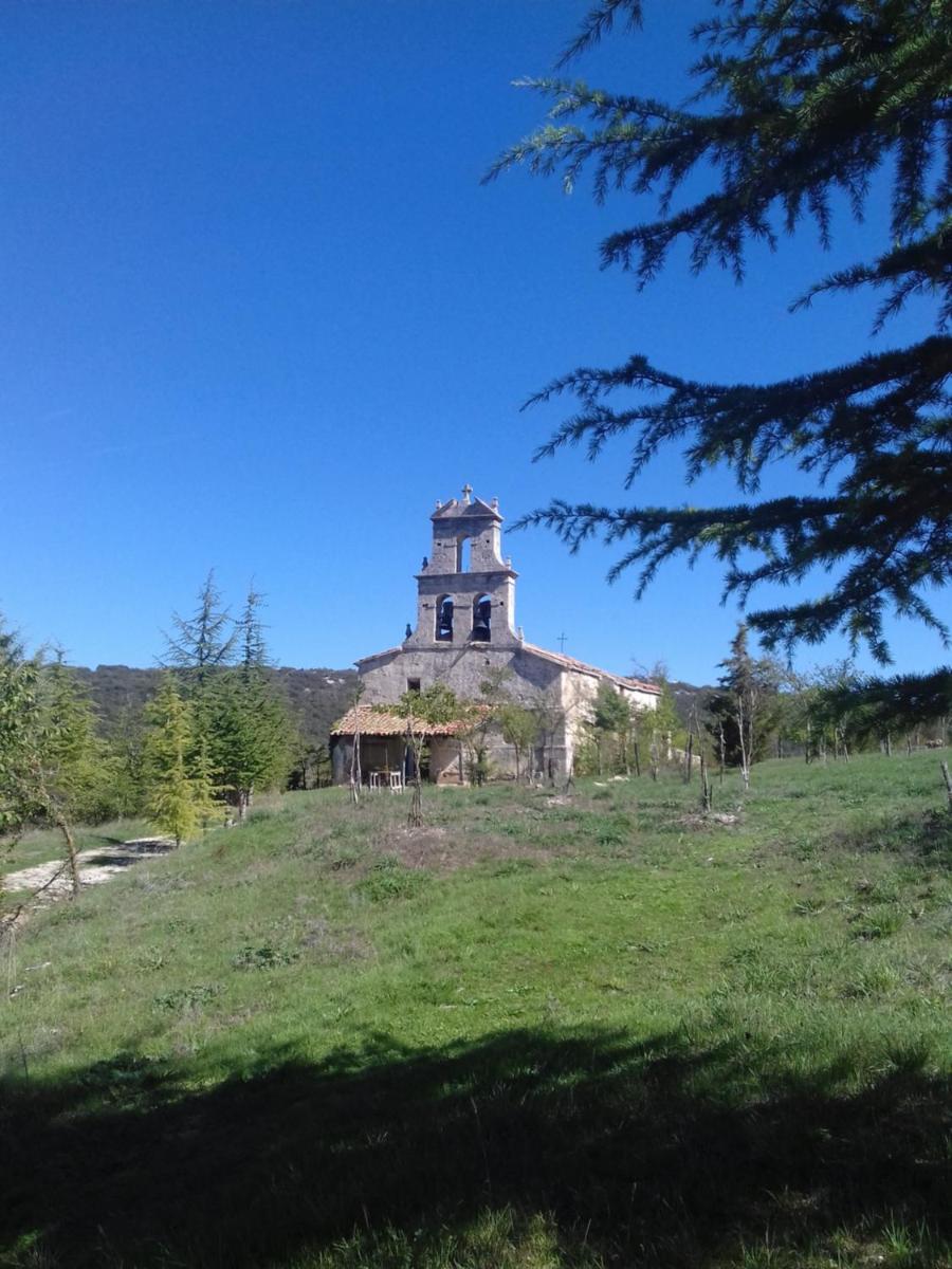 Photo 8