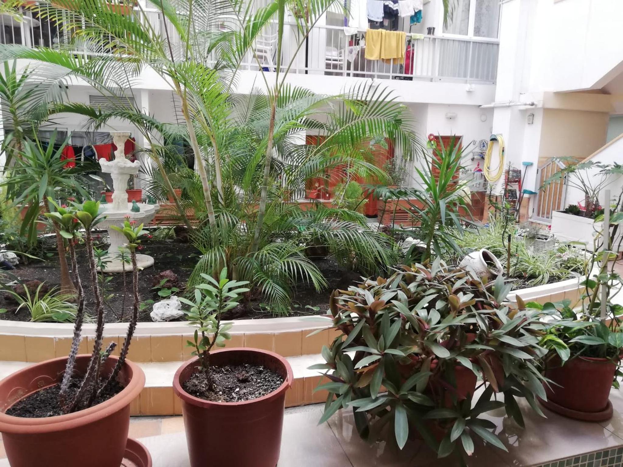 Apartamento en Aguas Verdes view 4