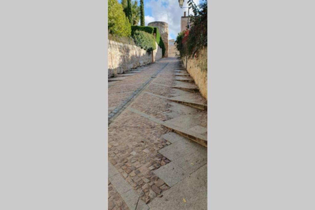 COQUETO view 4