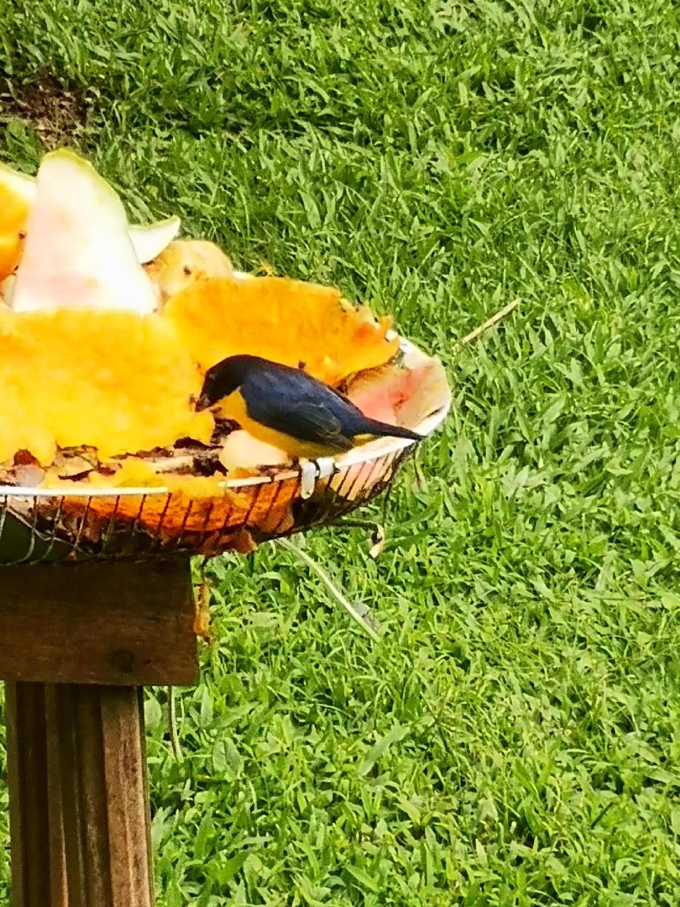 Tío Felix Eco Lodge