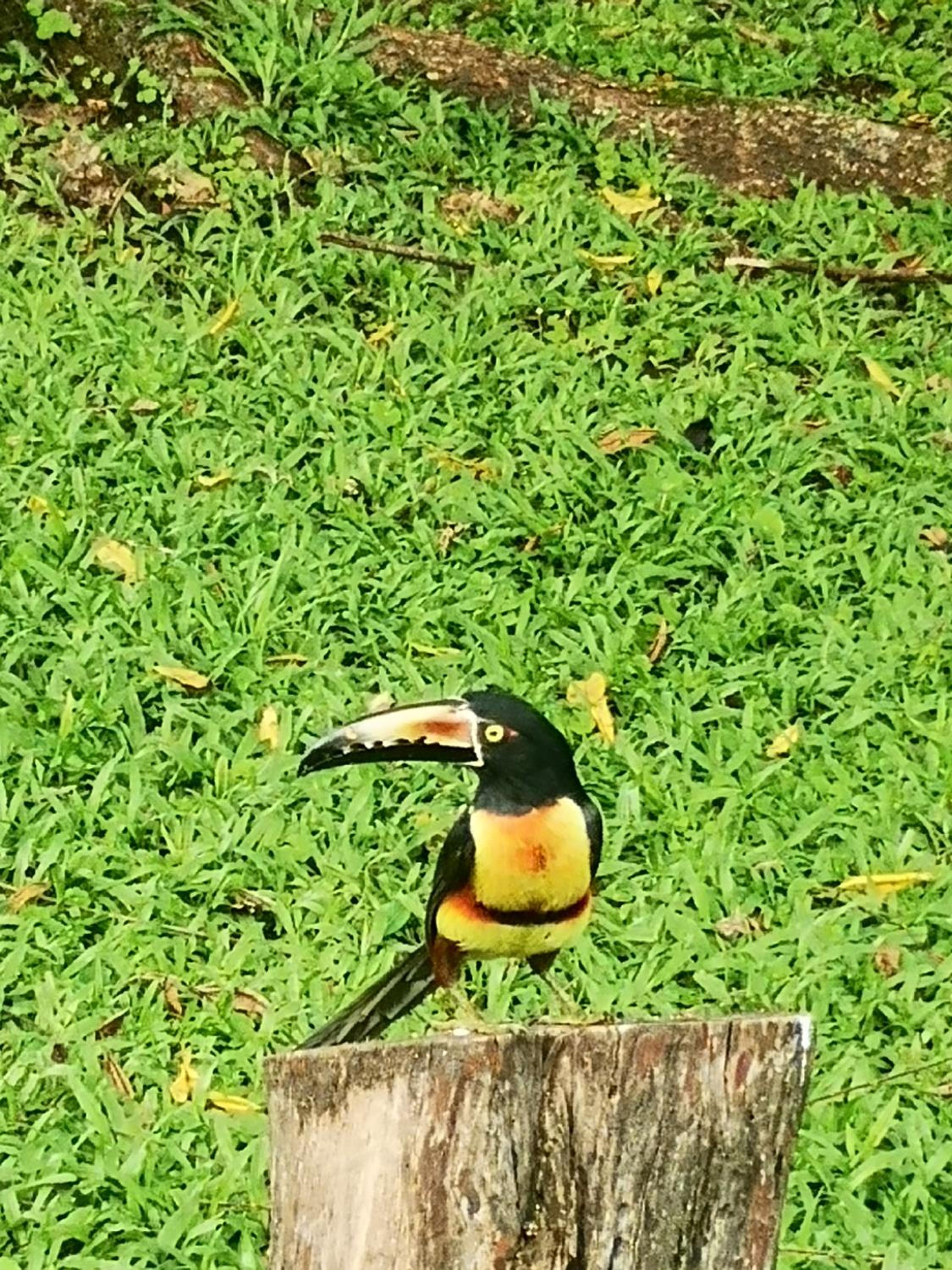 Tío Felix Eco Lodge