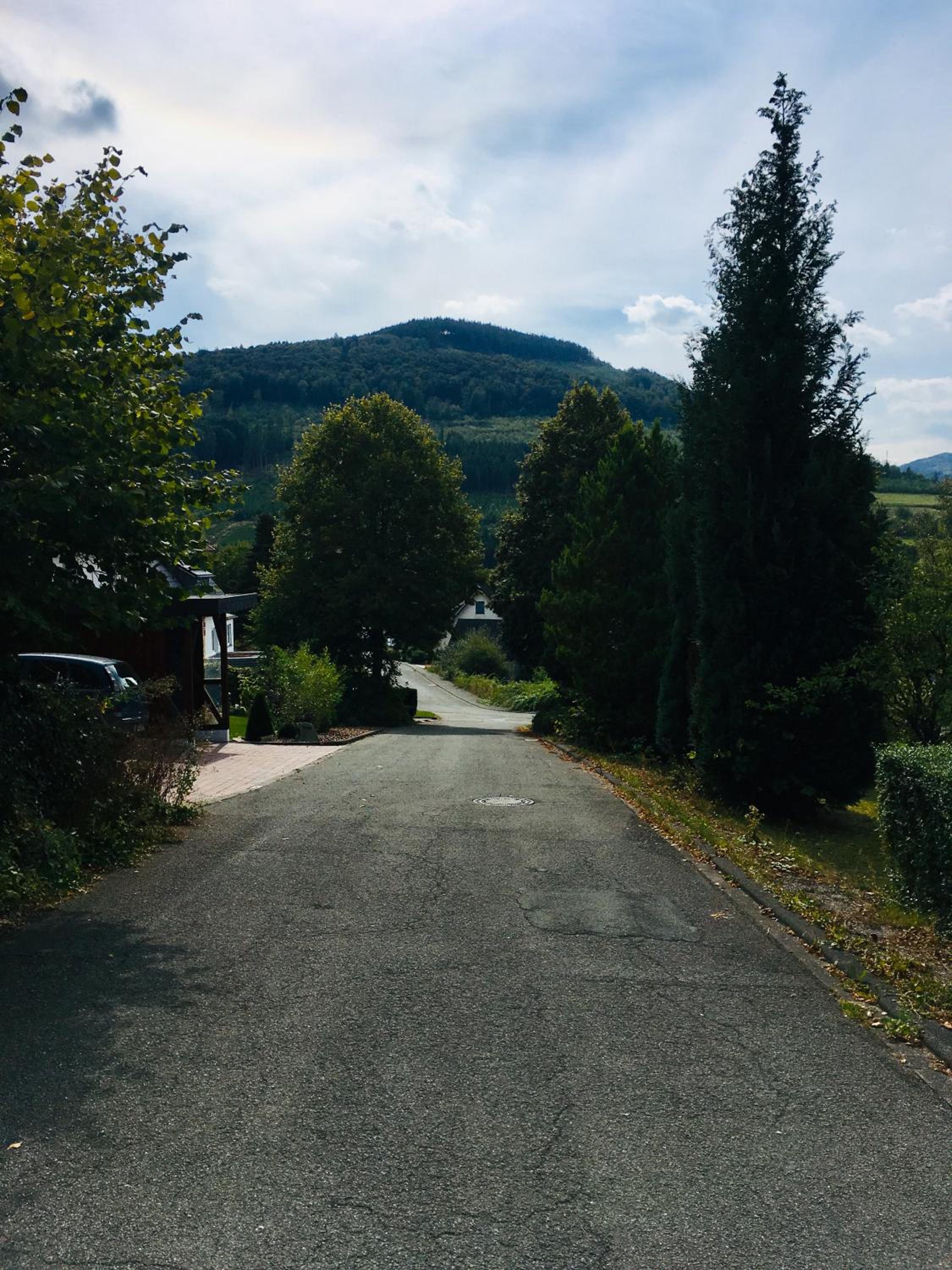 Photo 26