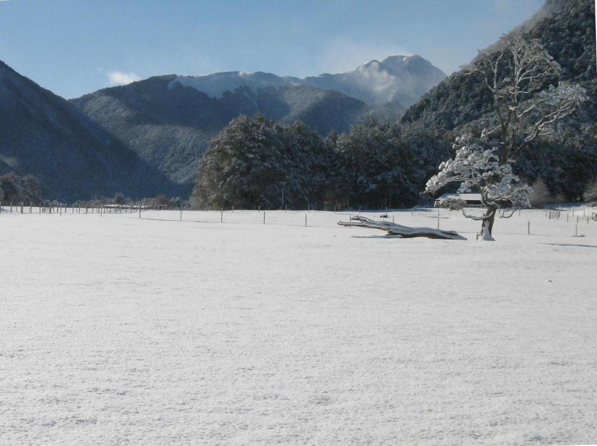 Lewis Pass Motels view 3