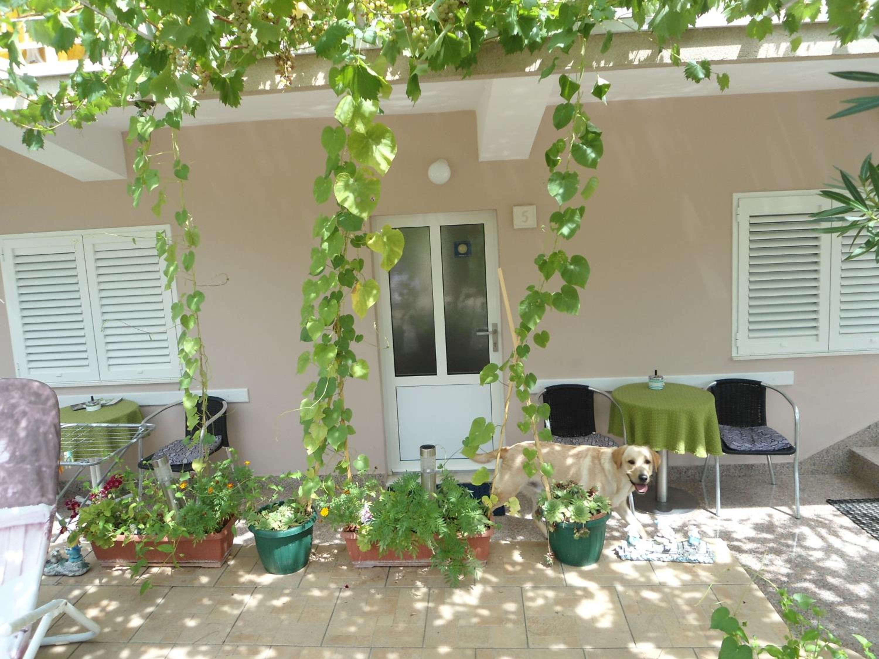 Photo 8
