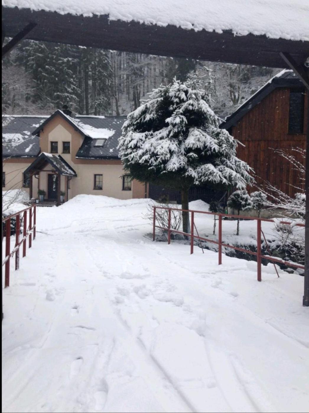 Apartmán na horách, Plešivec