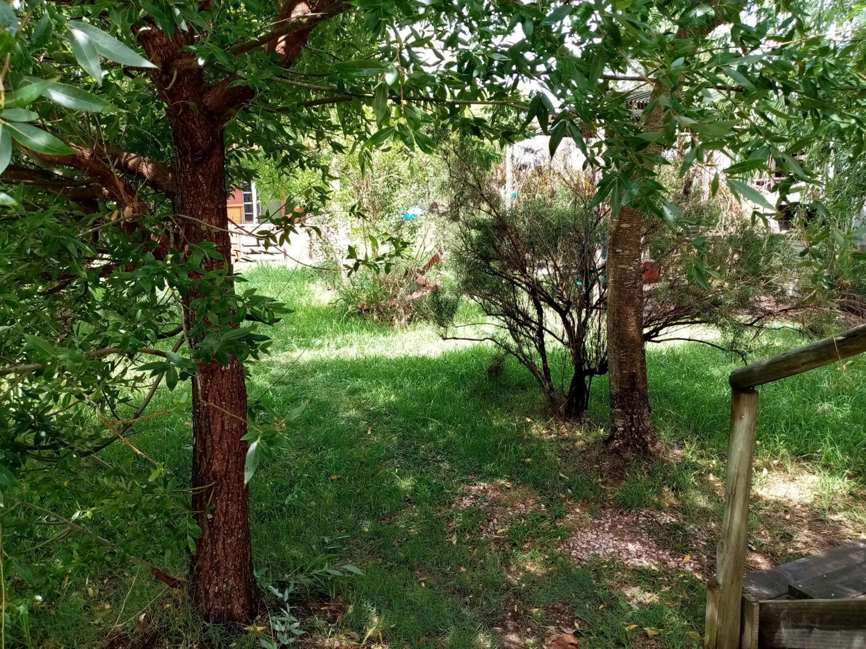 Photo 44