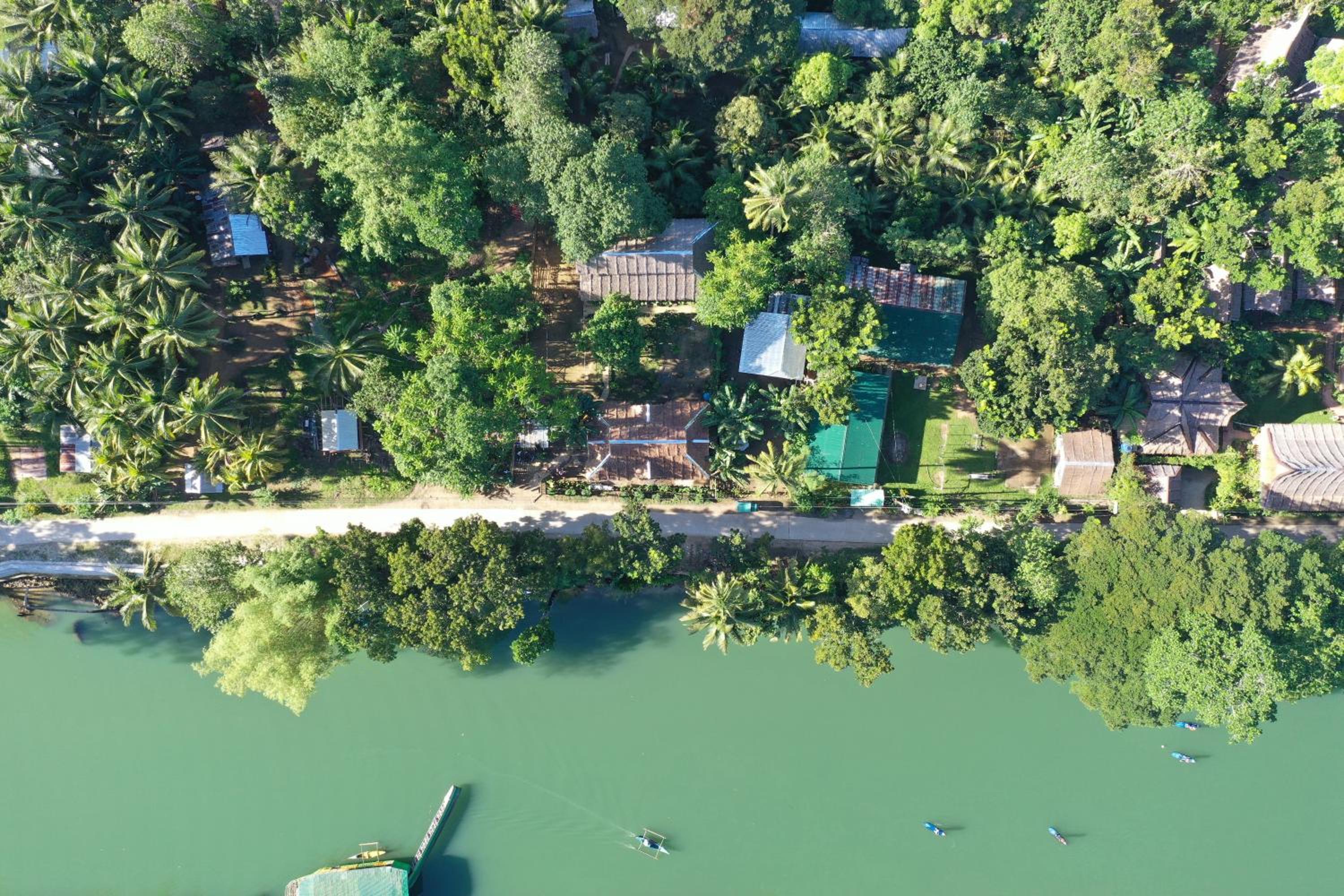 Loboc Cool River Resort, photo 64