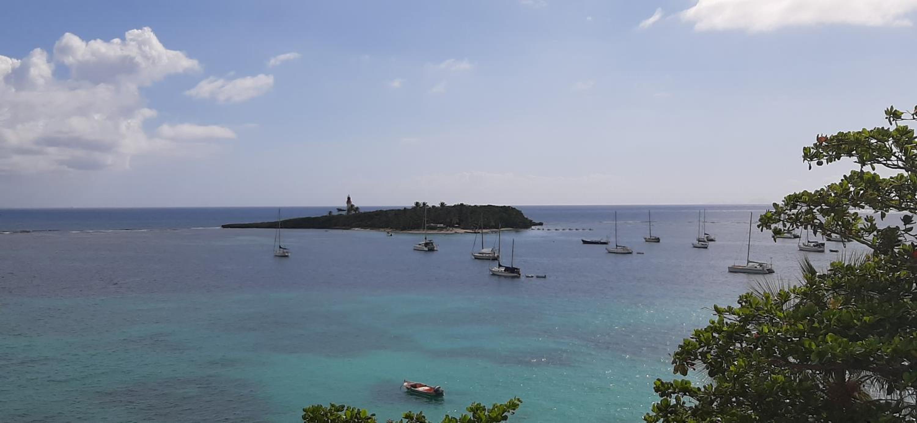 La Mignonette