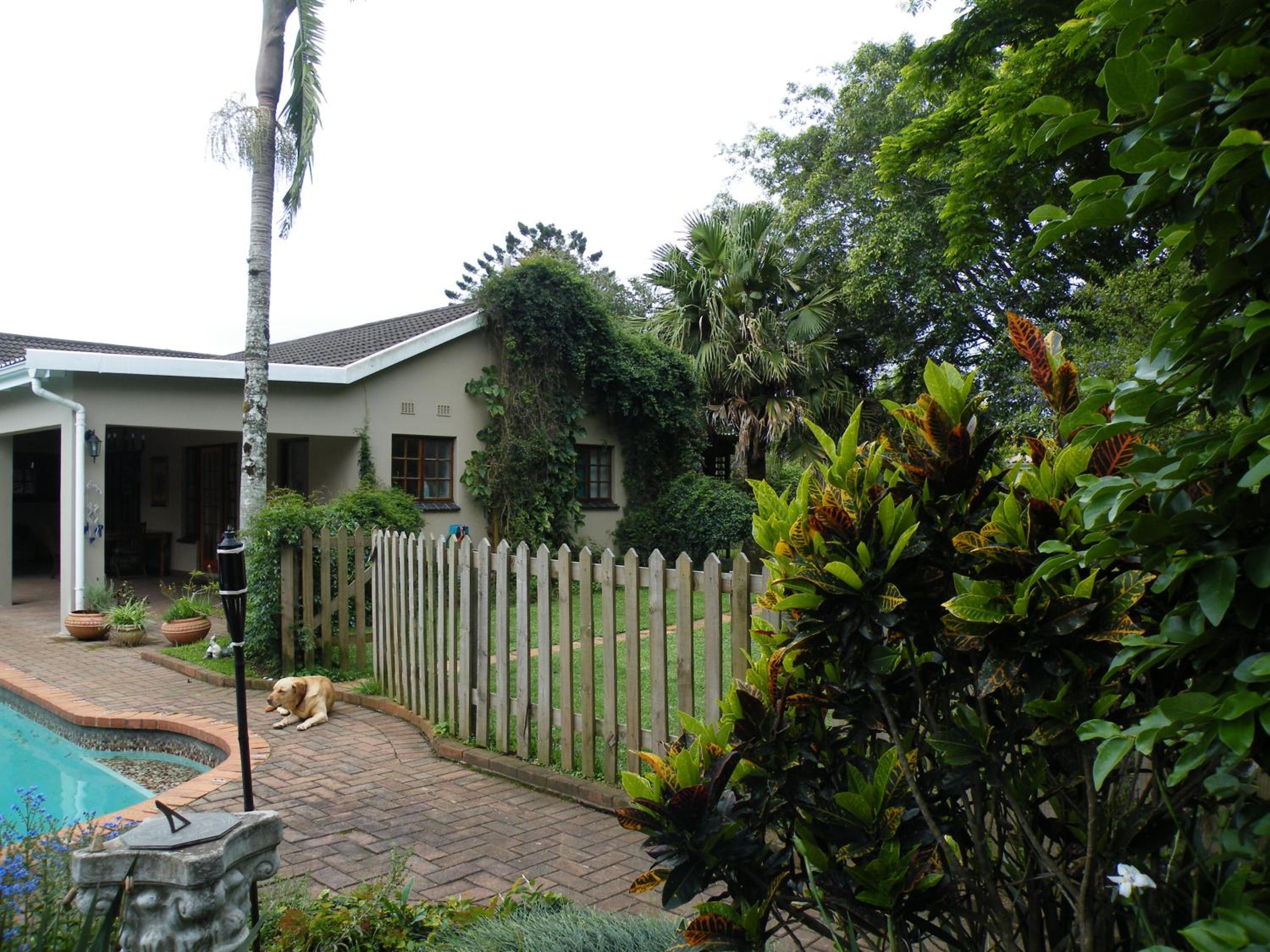 Photo 7