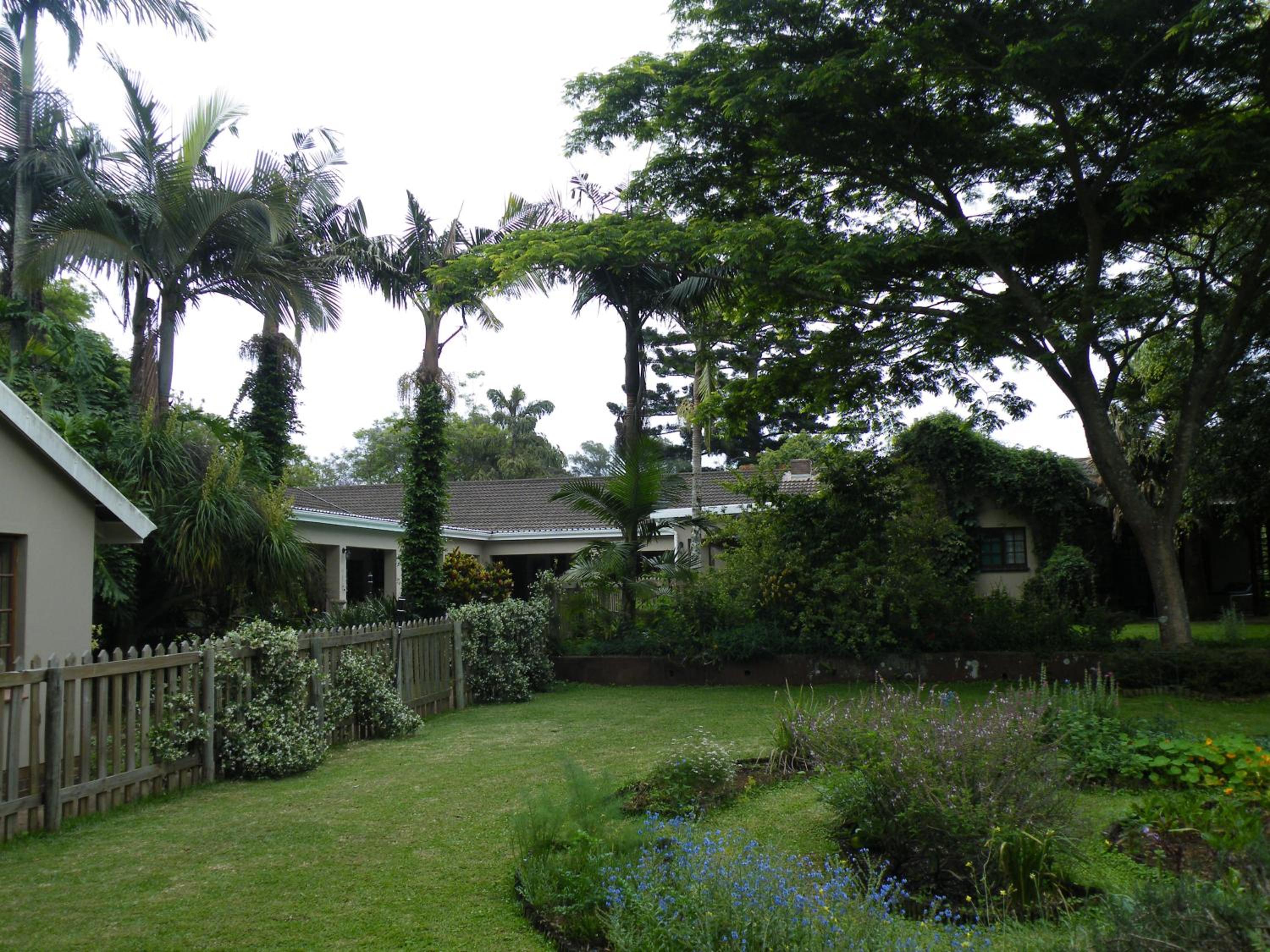 Photo 13