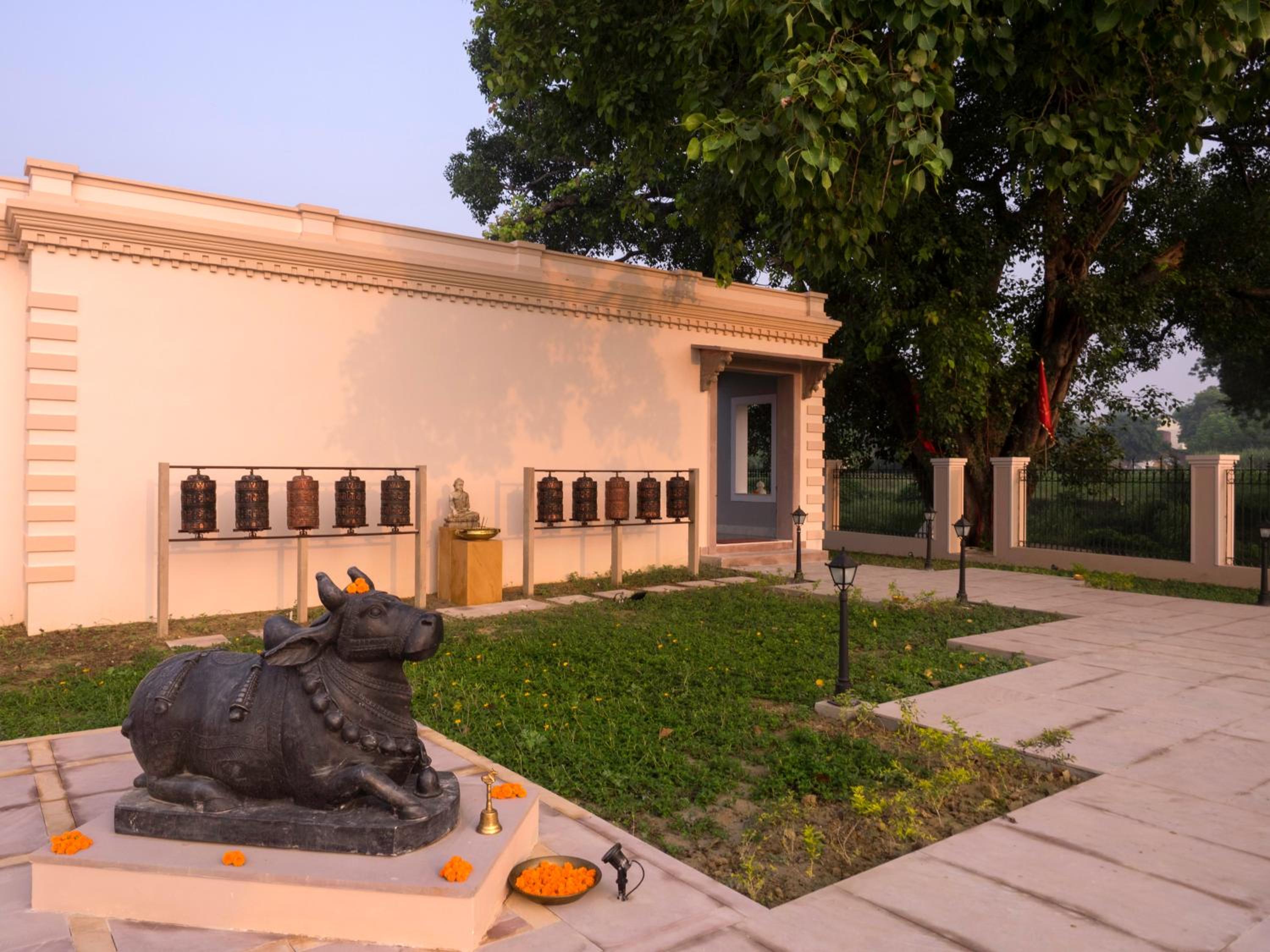Tree of Life Resort & Spa, Varanasi Tree of Life Resort & Spa, Varanasi