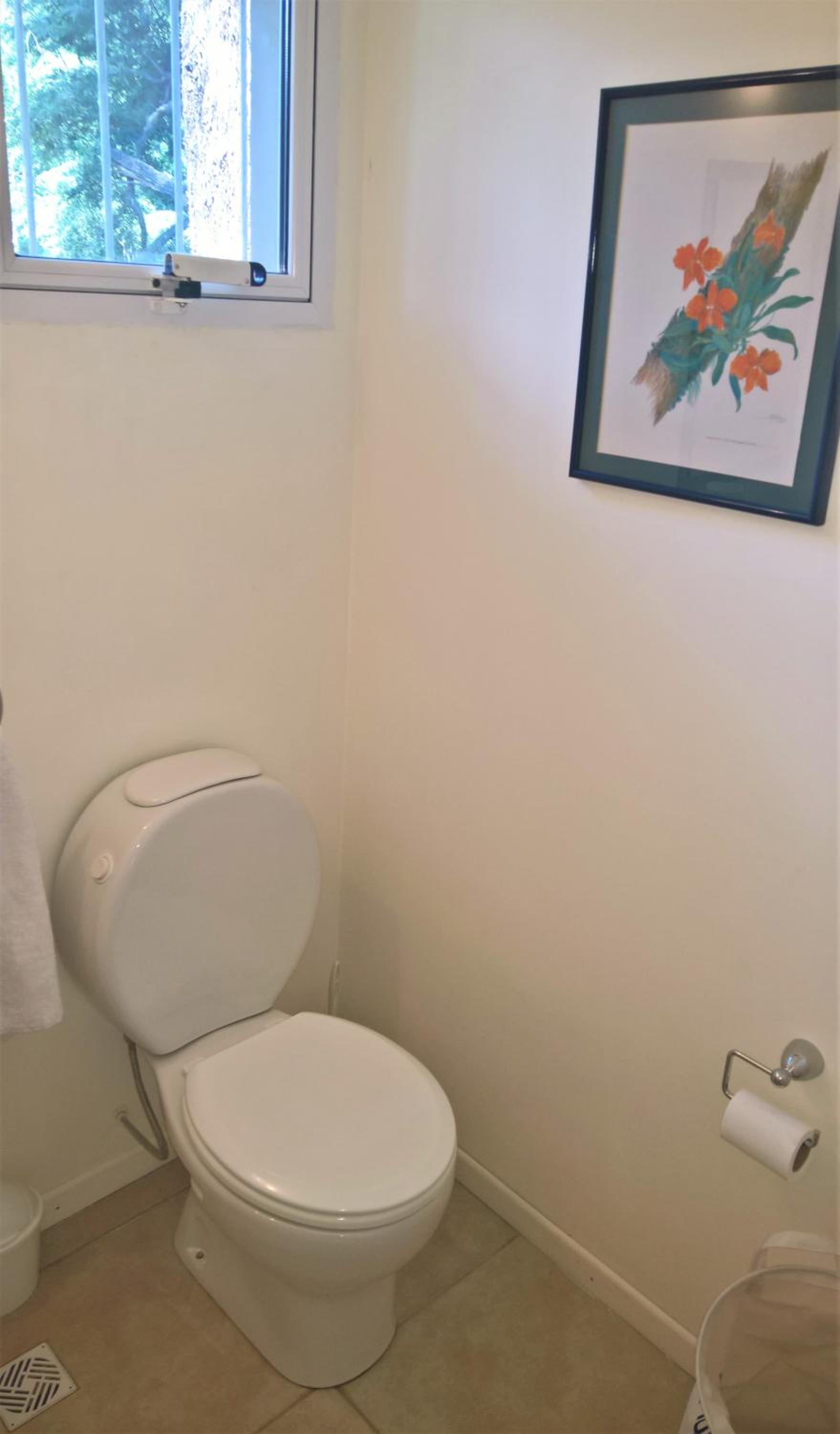 Blue Bird Flat
