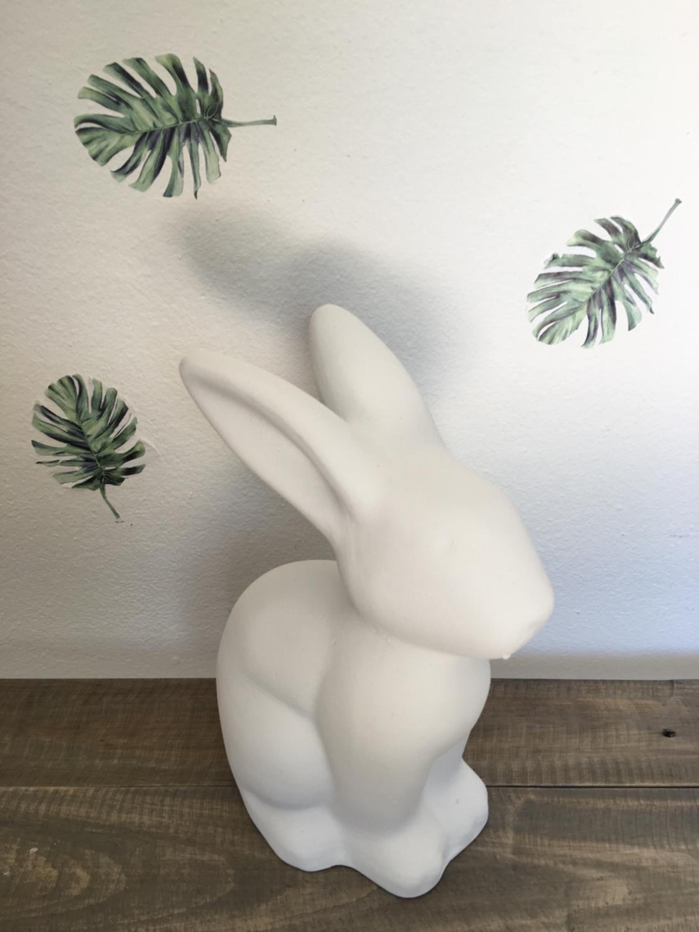 Bunnymoon Cottage view 4