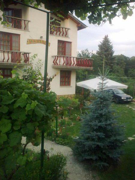 Veselata Guest House