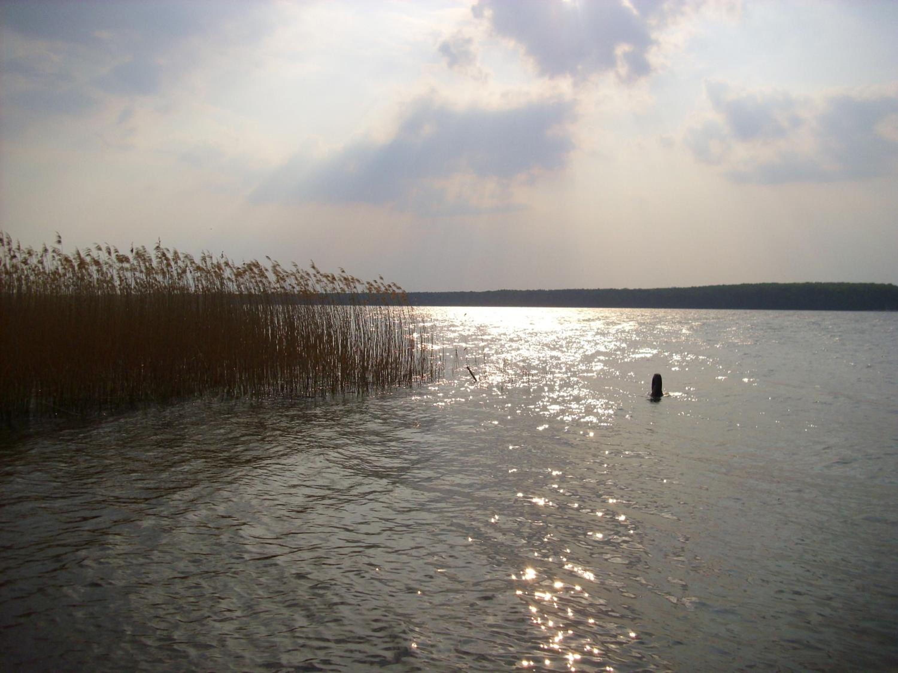 Fewoamglubigsee view 5