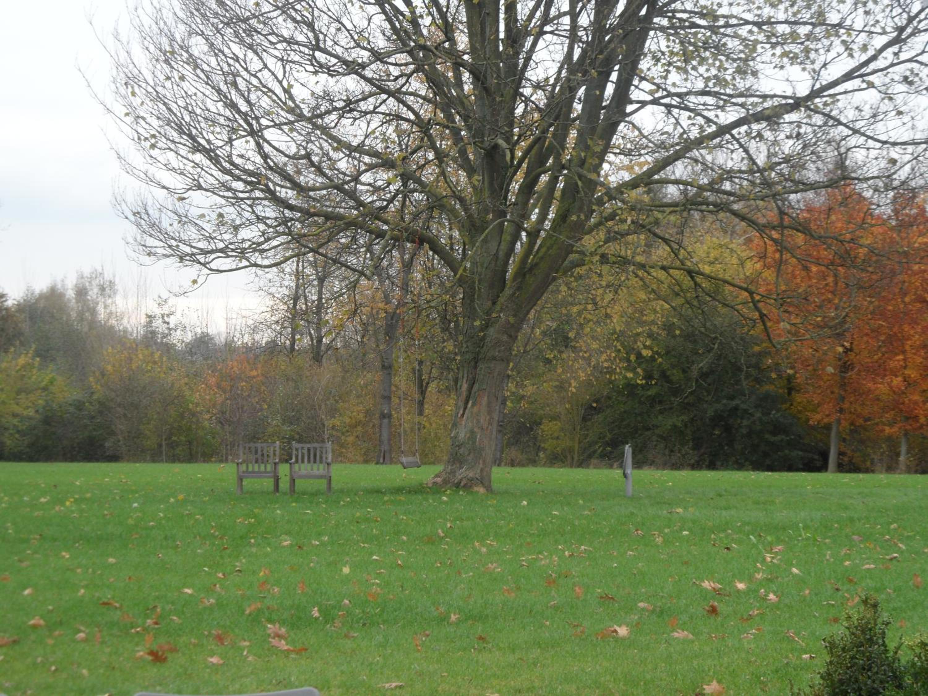 B&B Korsele 59