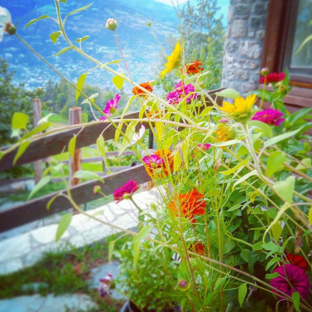 Bondine Apartments in Valle d'Aosta
