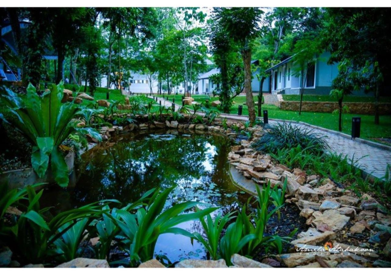 Serendib Signature Resort
