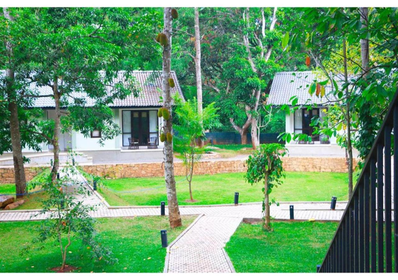Serendib Signature Resort