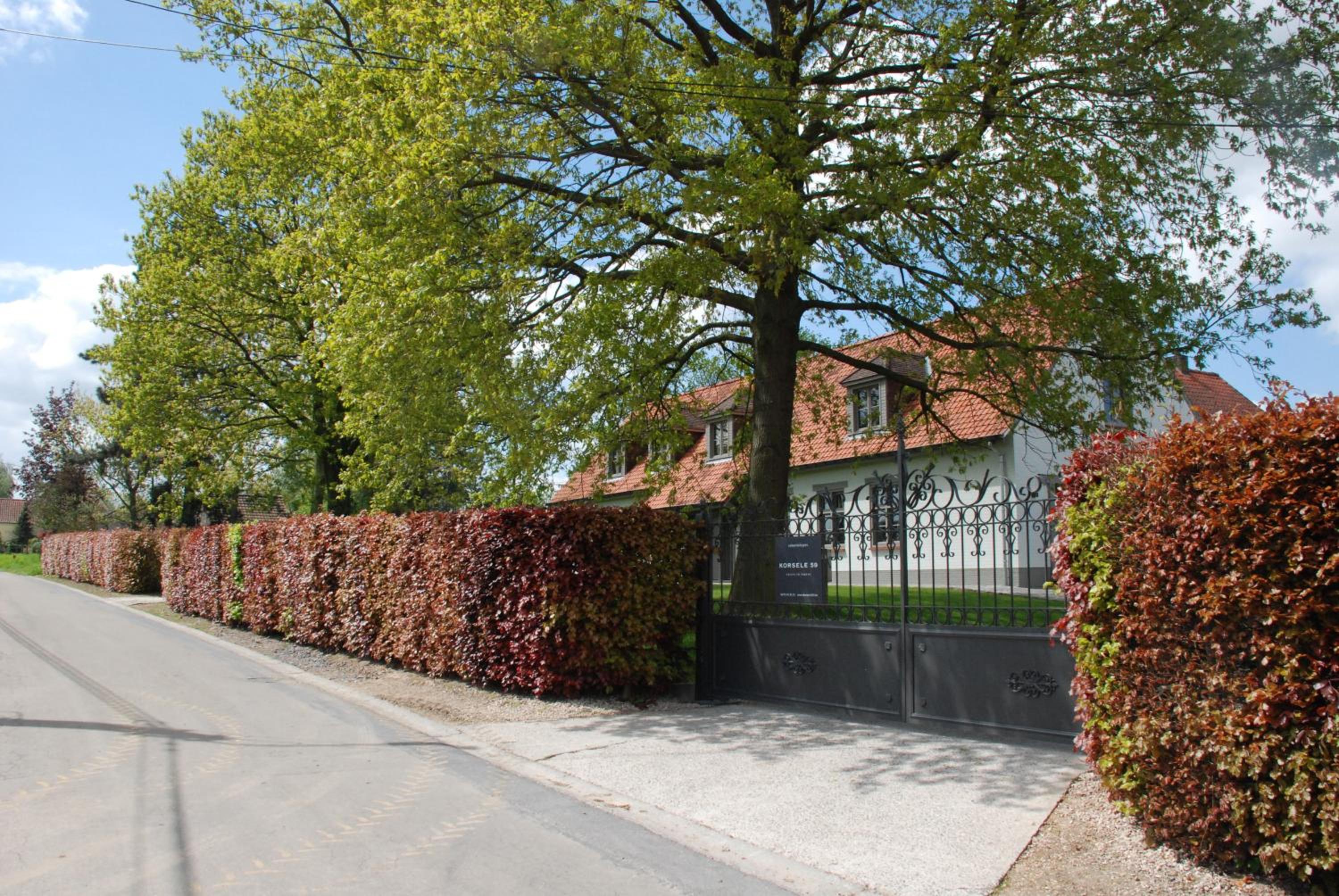 B&B Korsele 59