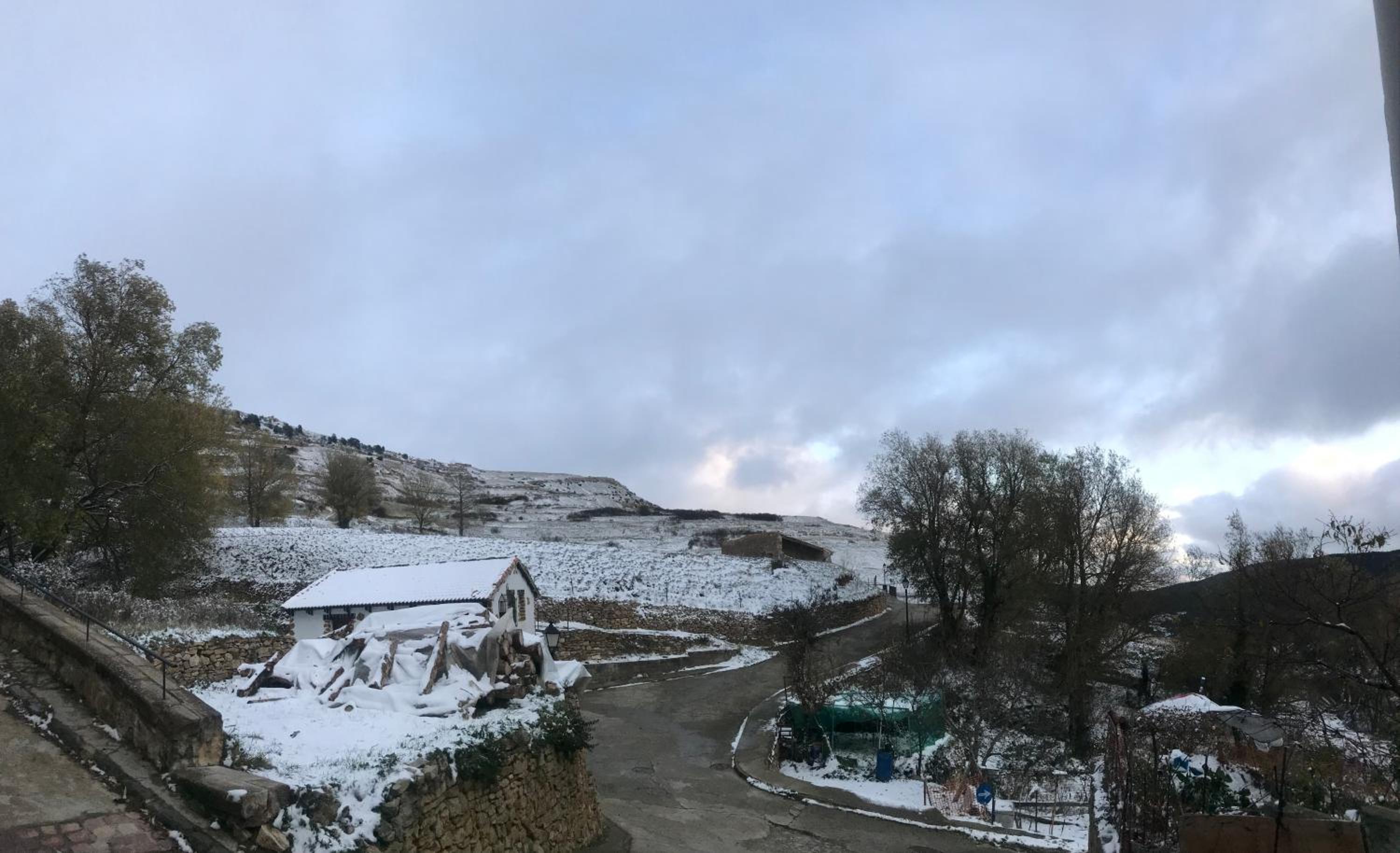 Photo 19