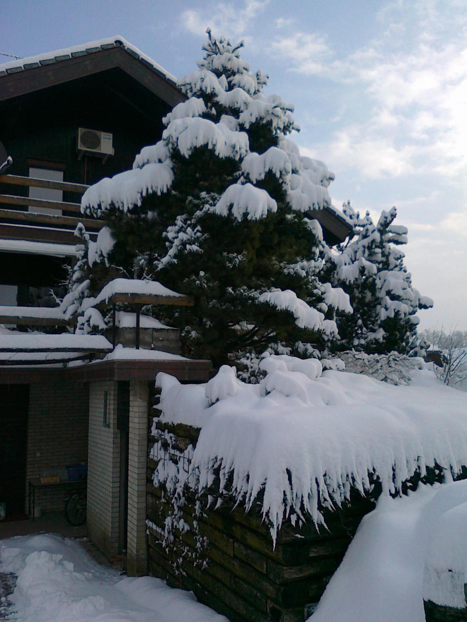 Hotel Elas Apartment