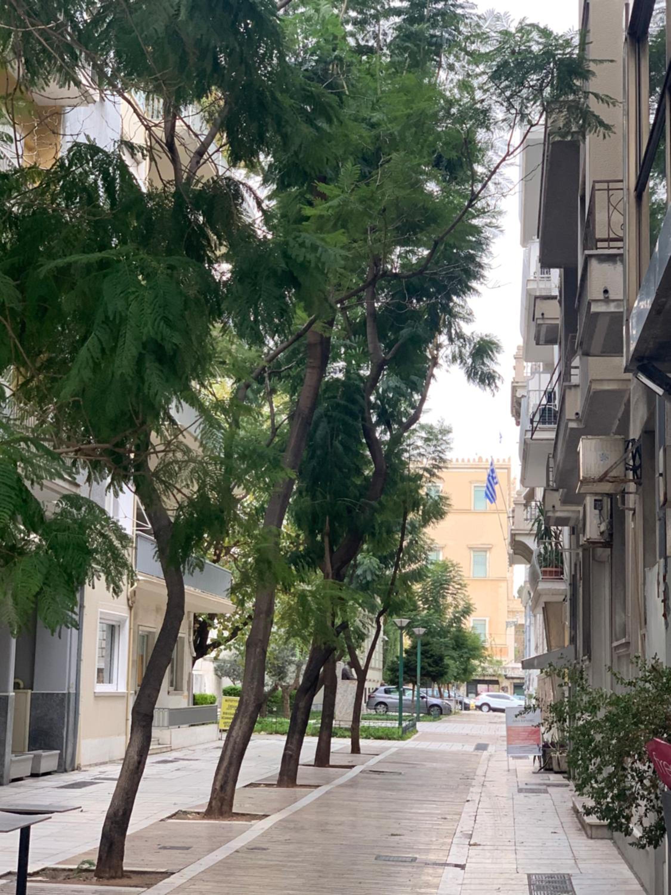 API Projects Athens - Parliament Apartment