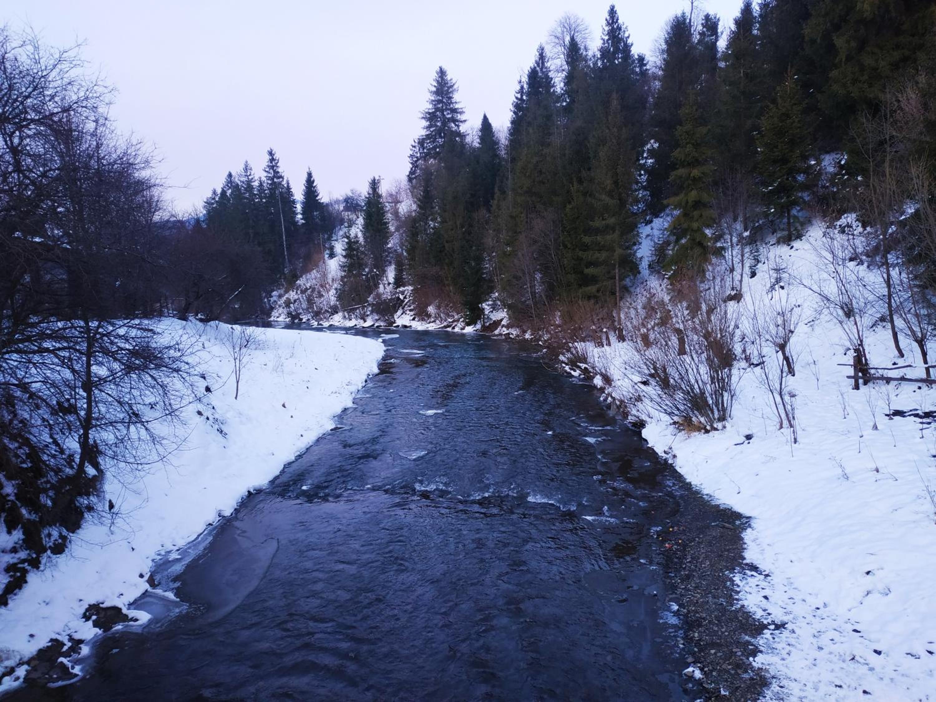 Photo 49