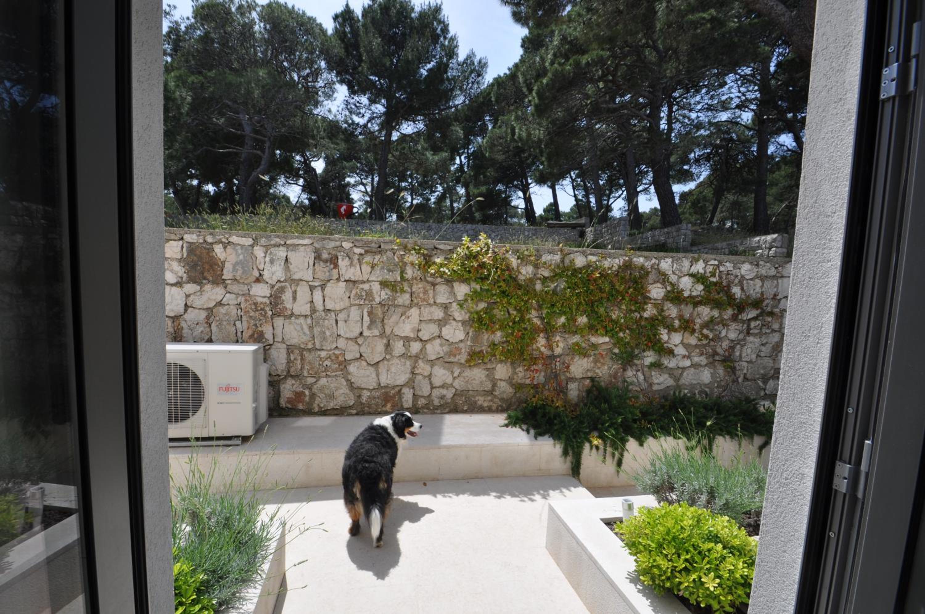 Photo 45