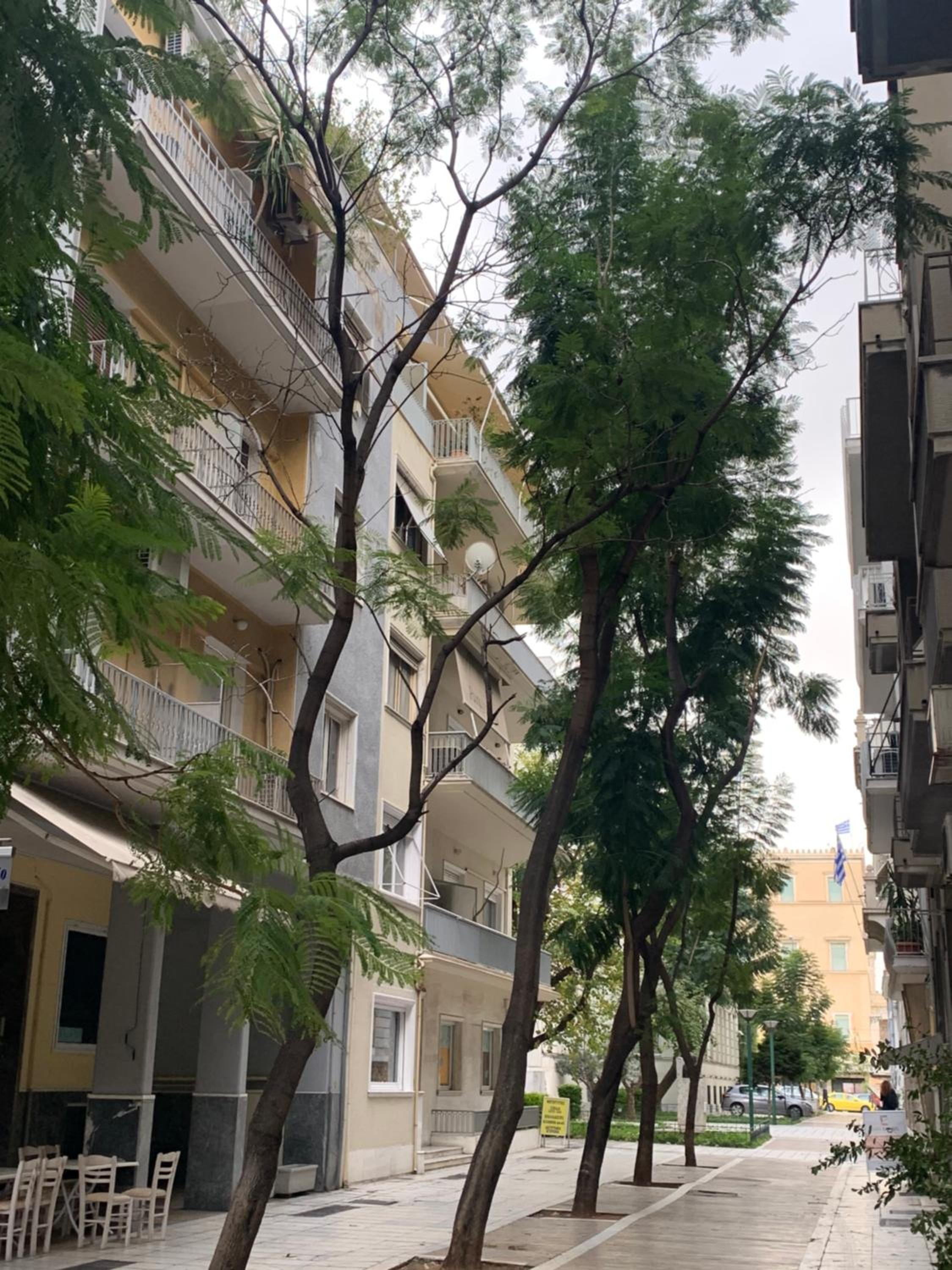 API Projects Athens - Parliament Apartment