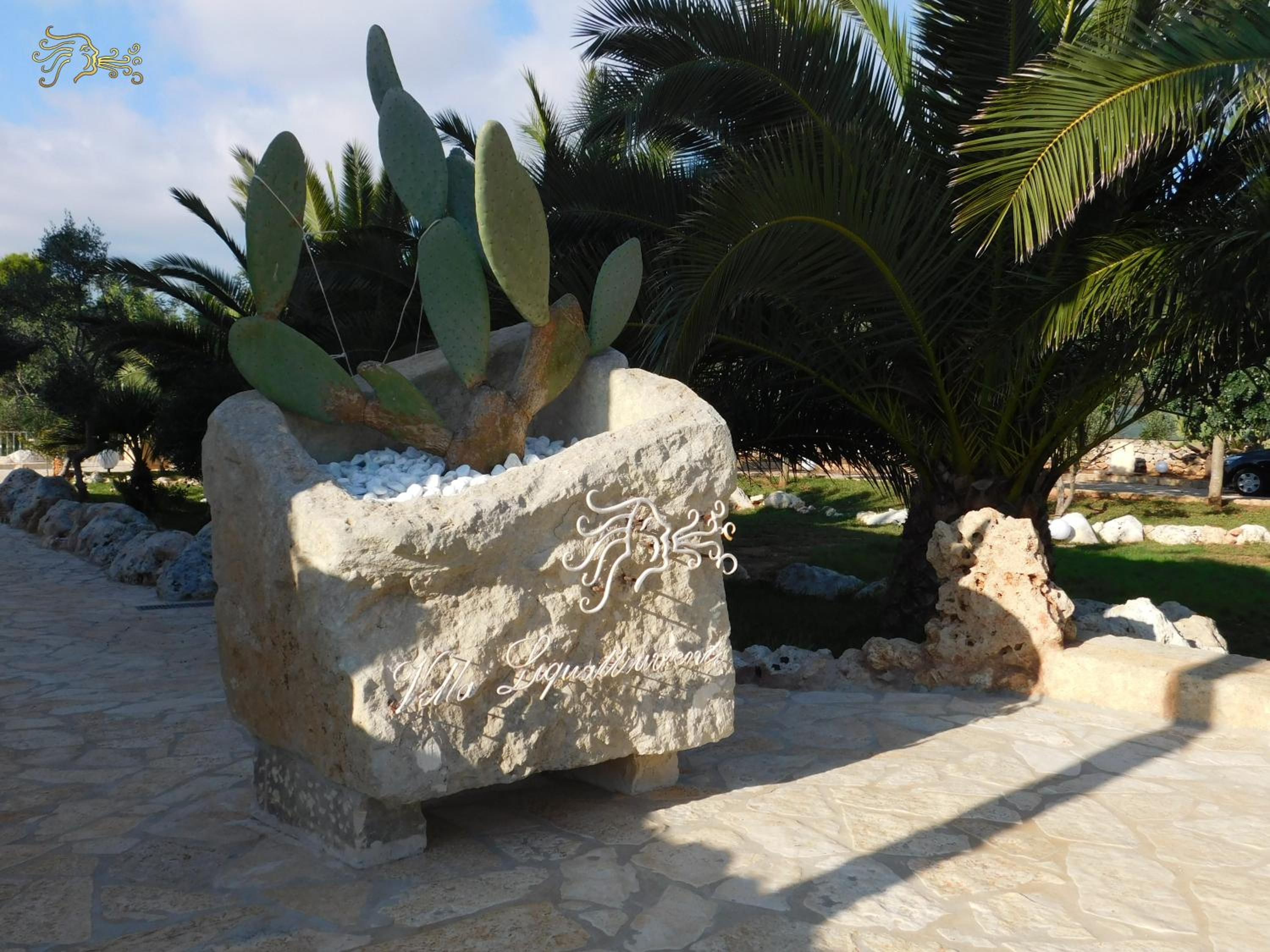 Photo 49