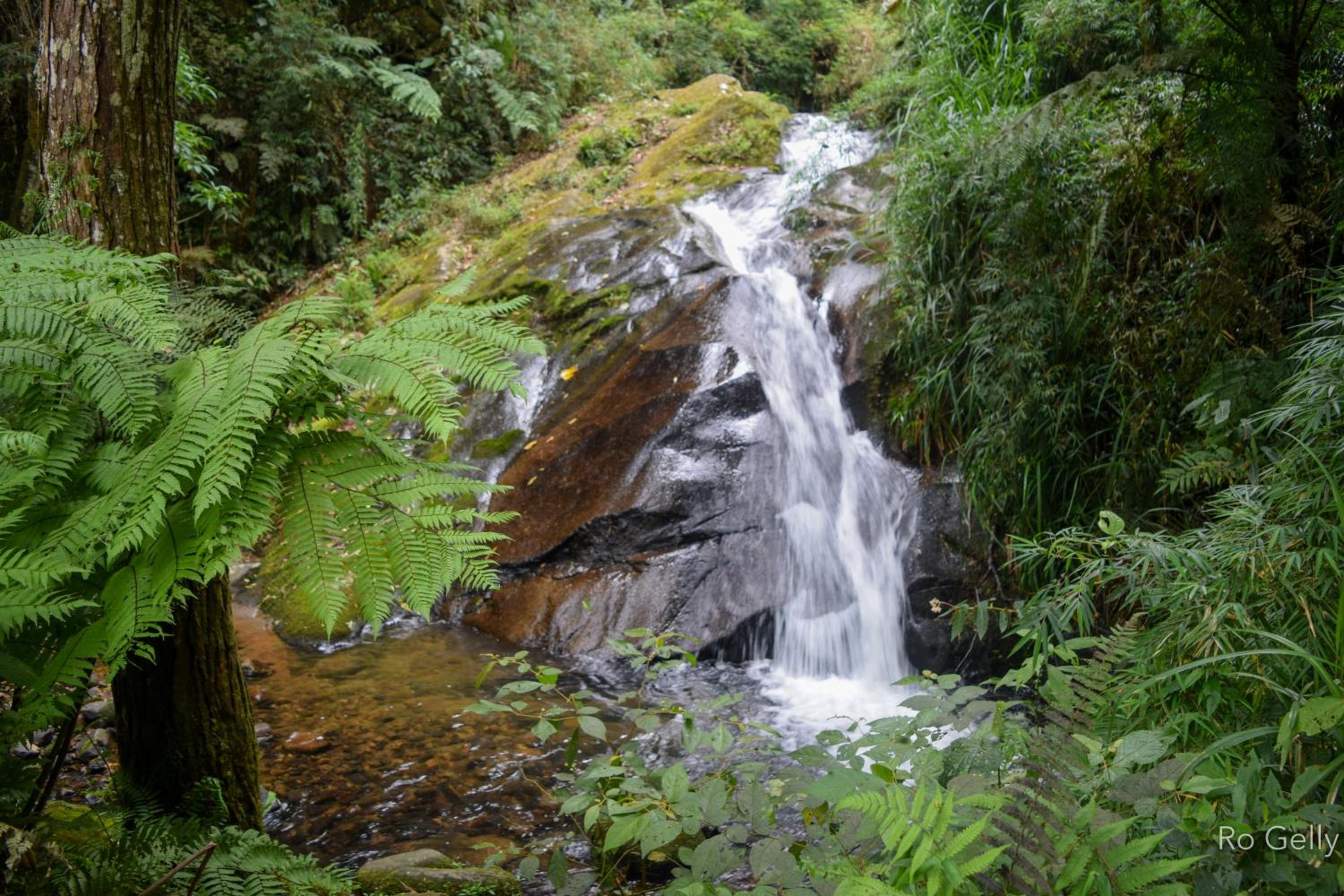 Rancho Pedra do Picú
