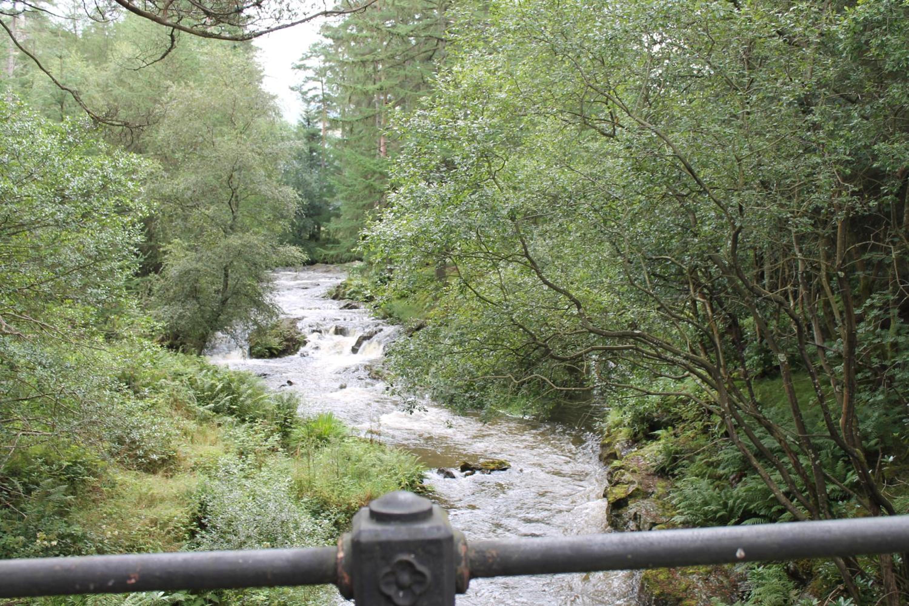 Photo 42