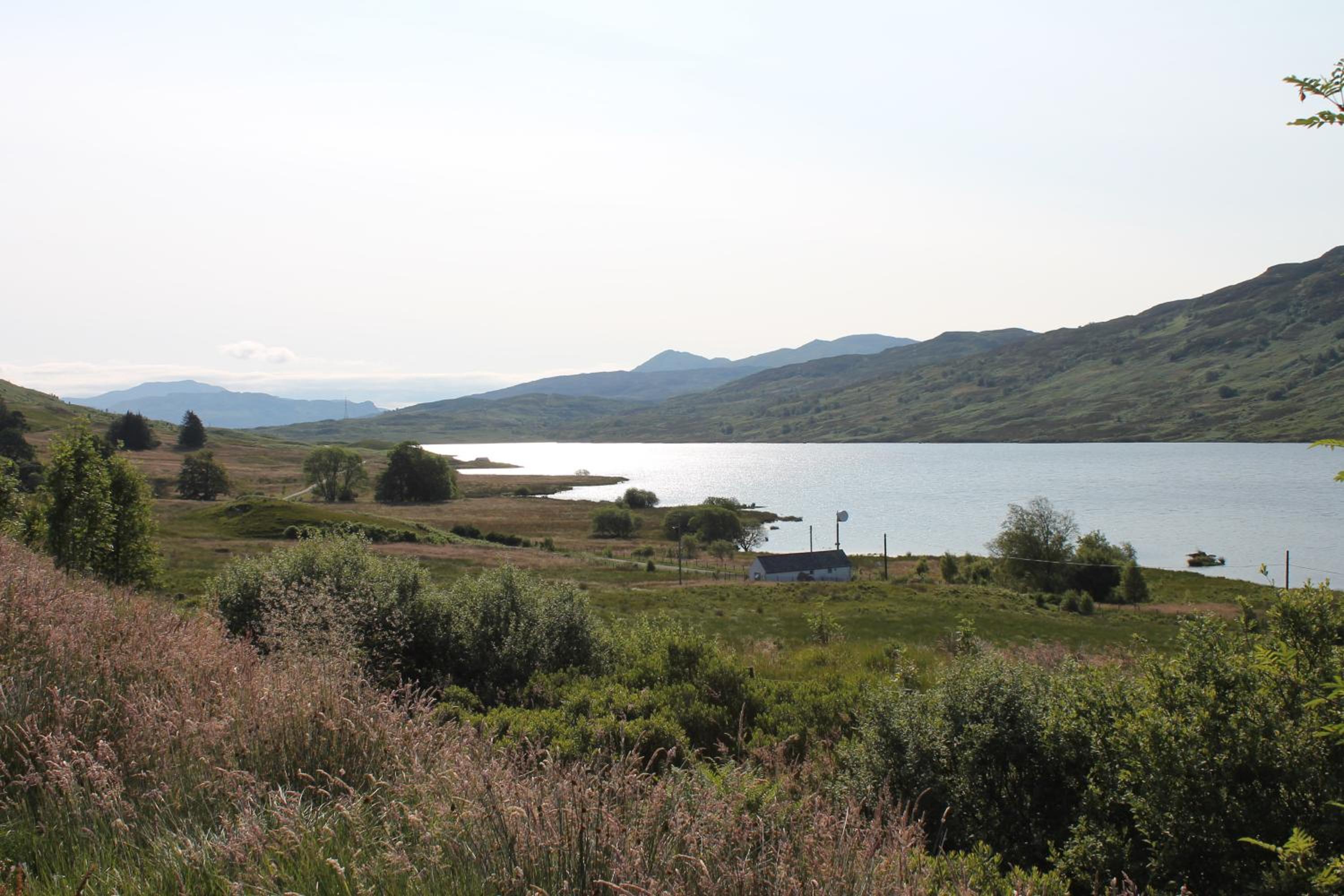 Photo 45