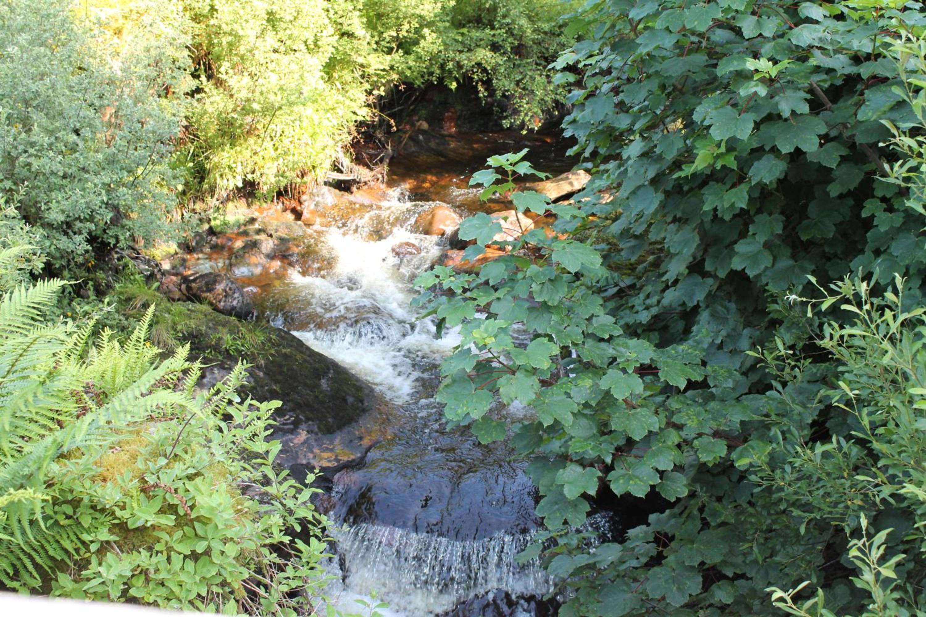 Photo 47