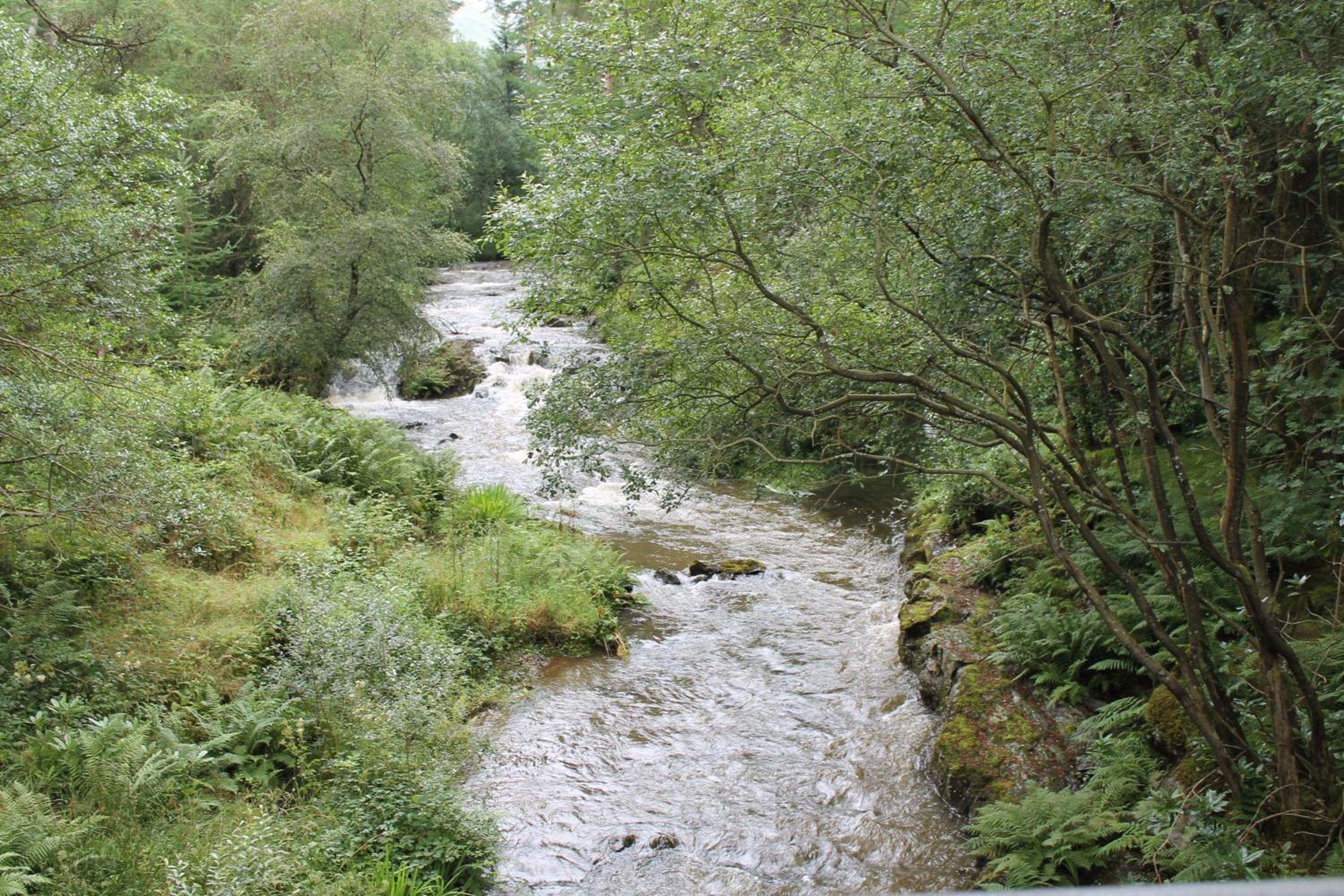 Loch Arklet House view 5