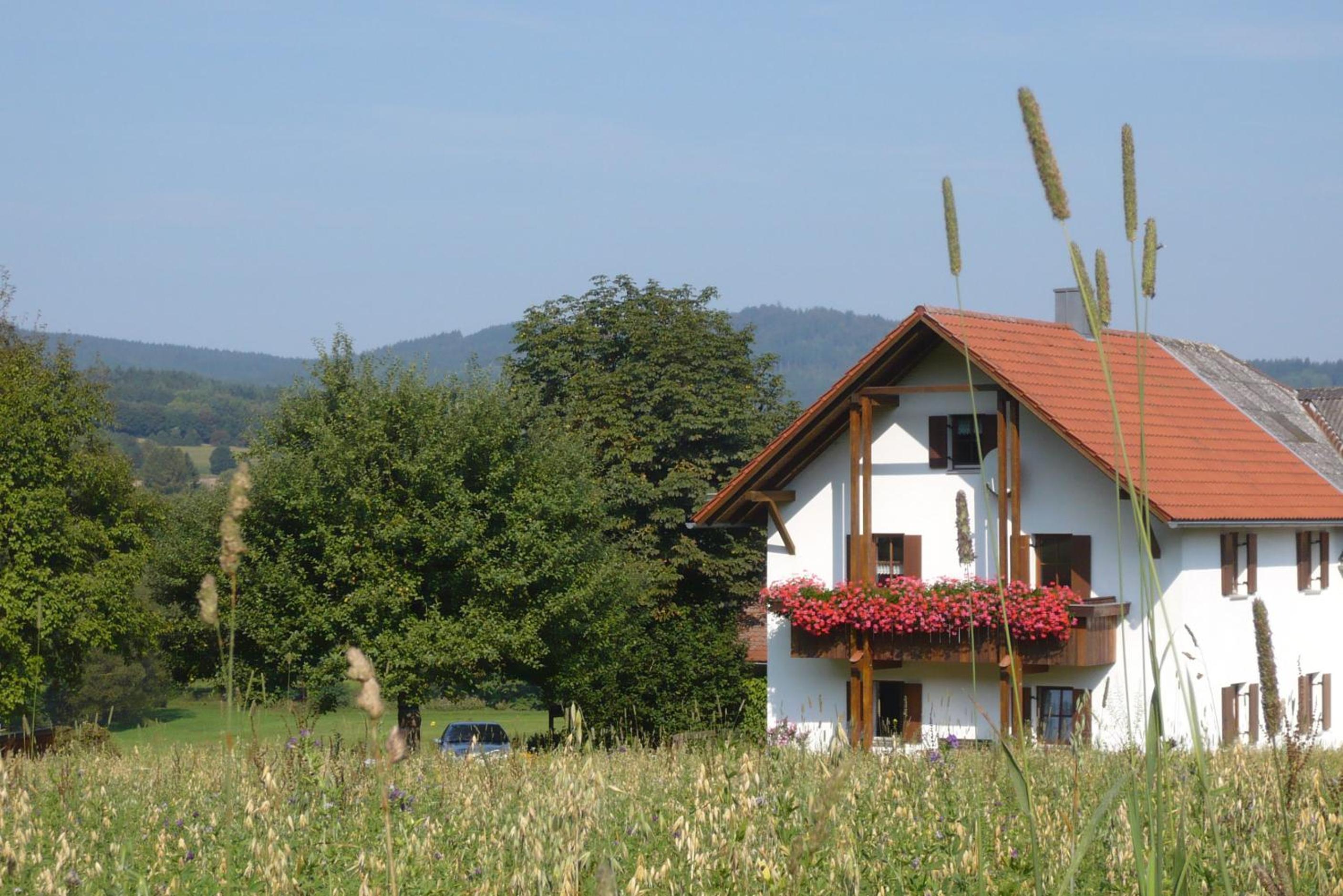 Ferienwohnungen Reitinger view 3
