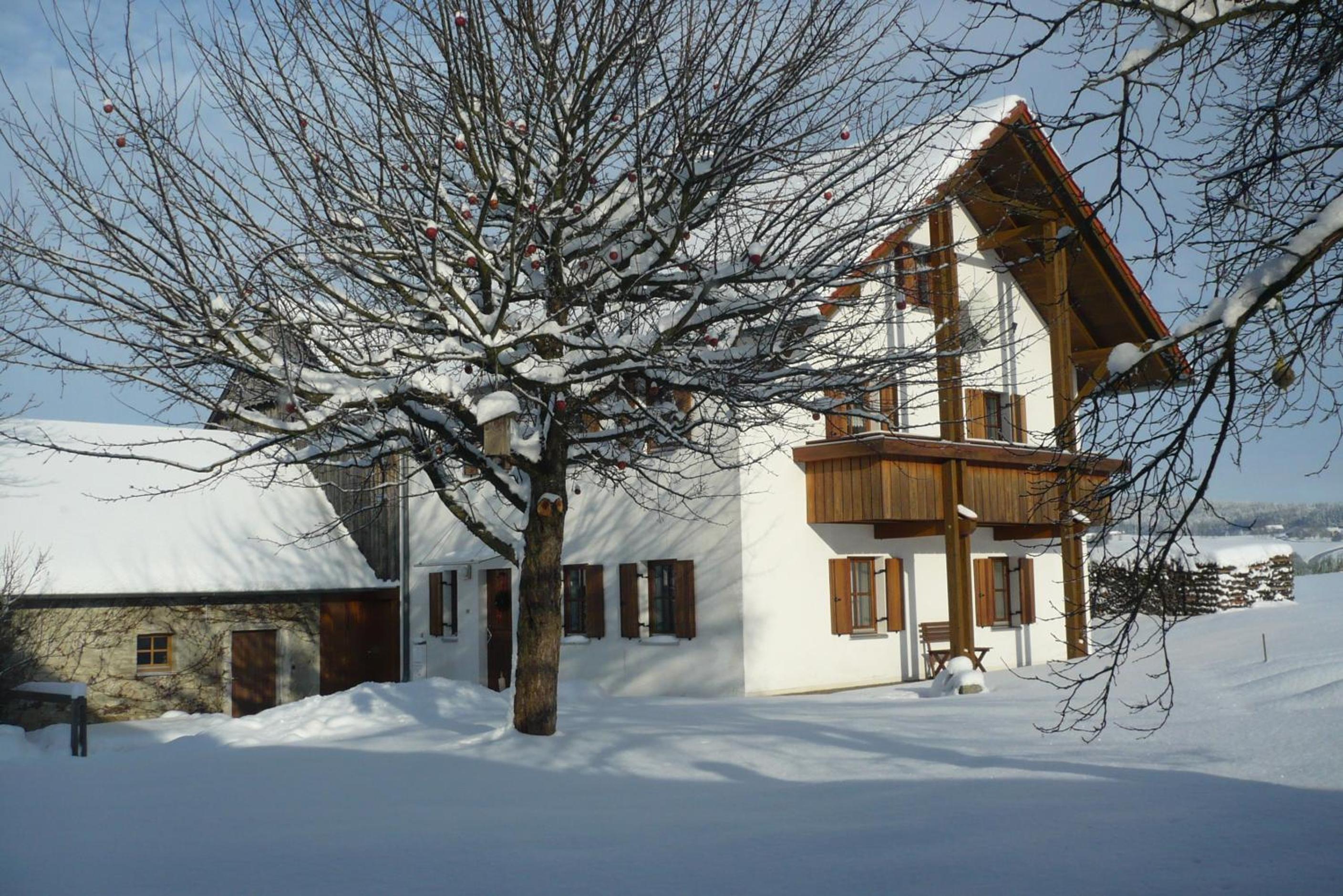 Ferienwohnungen Reitinger view 2