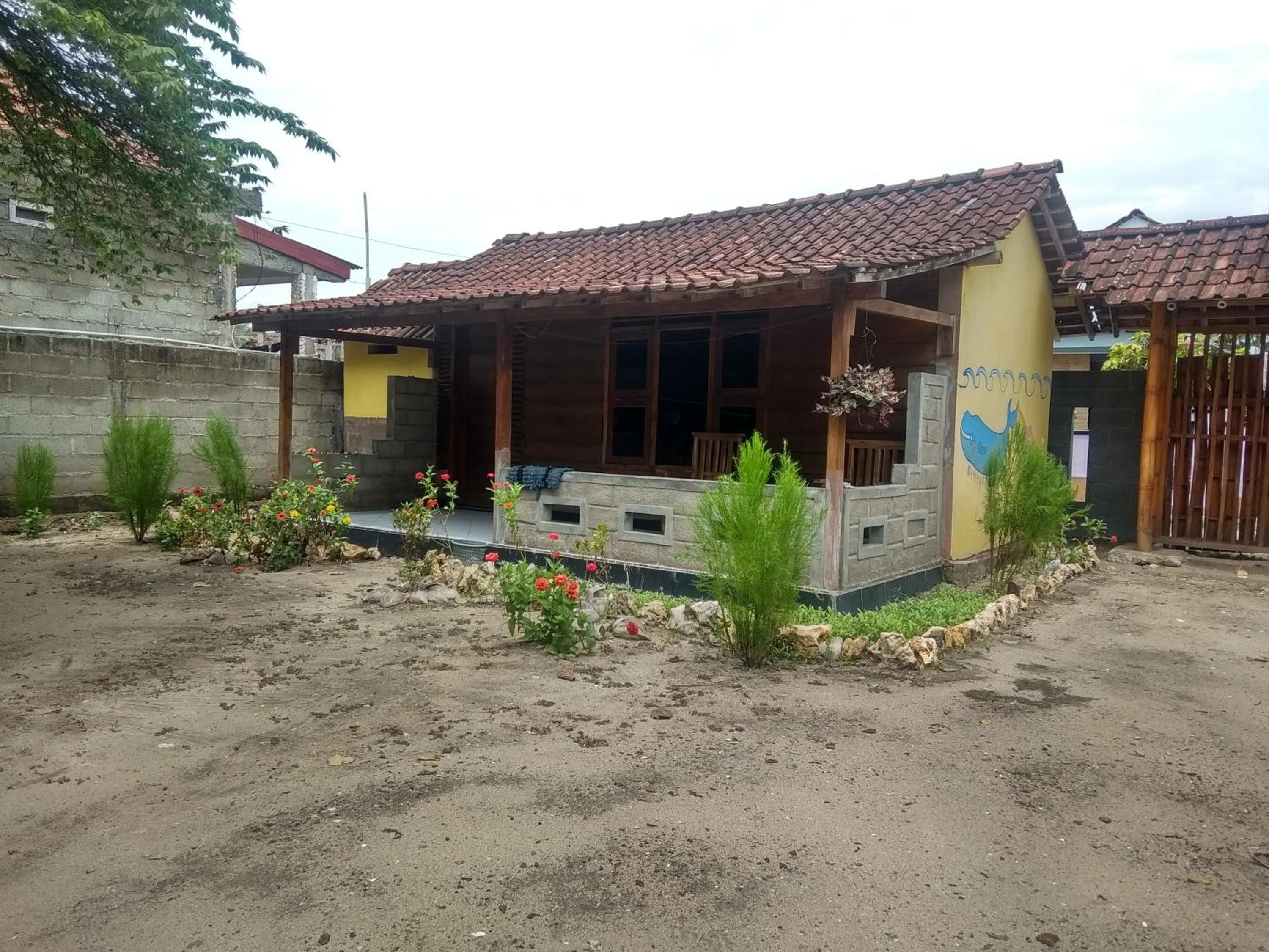 Photo 8