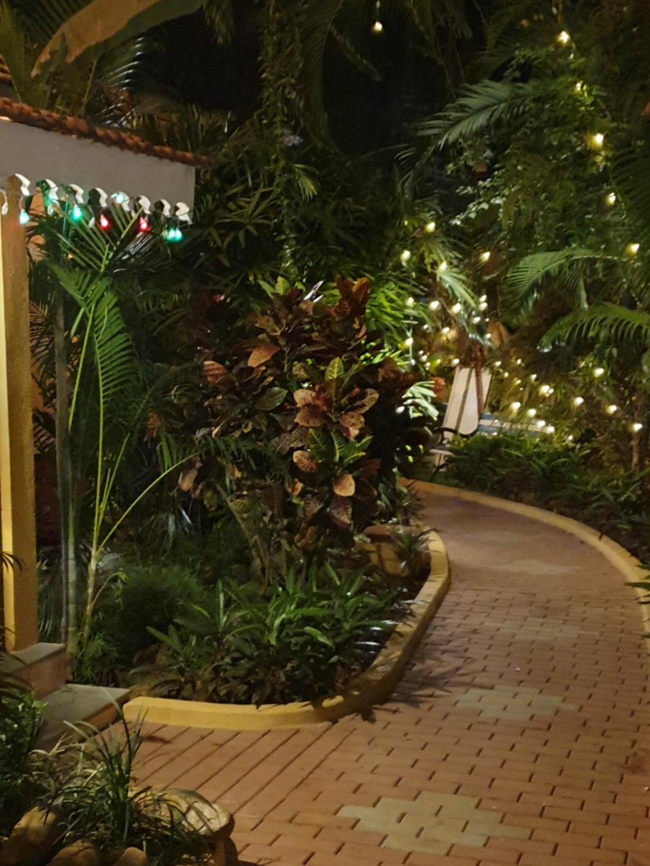 PRISTINE RESORT view 5
