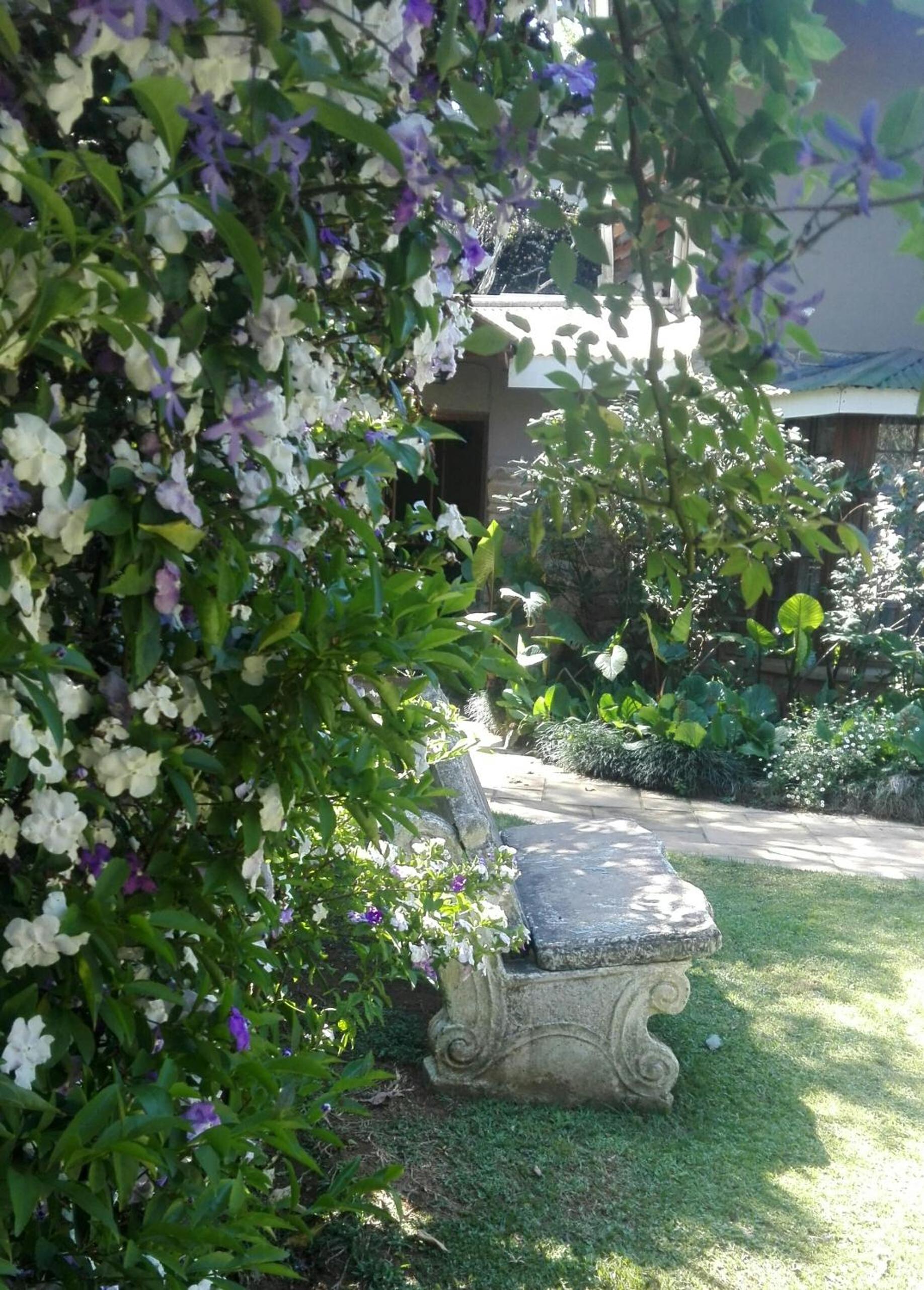Photo 16