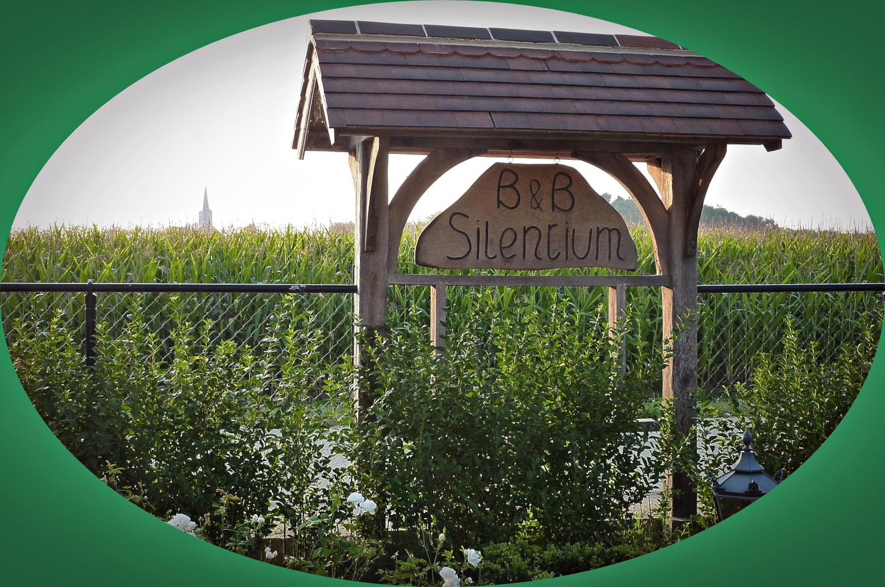 B&B Silentium, photo 44