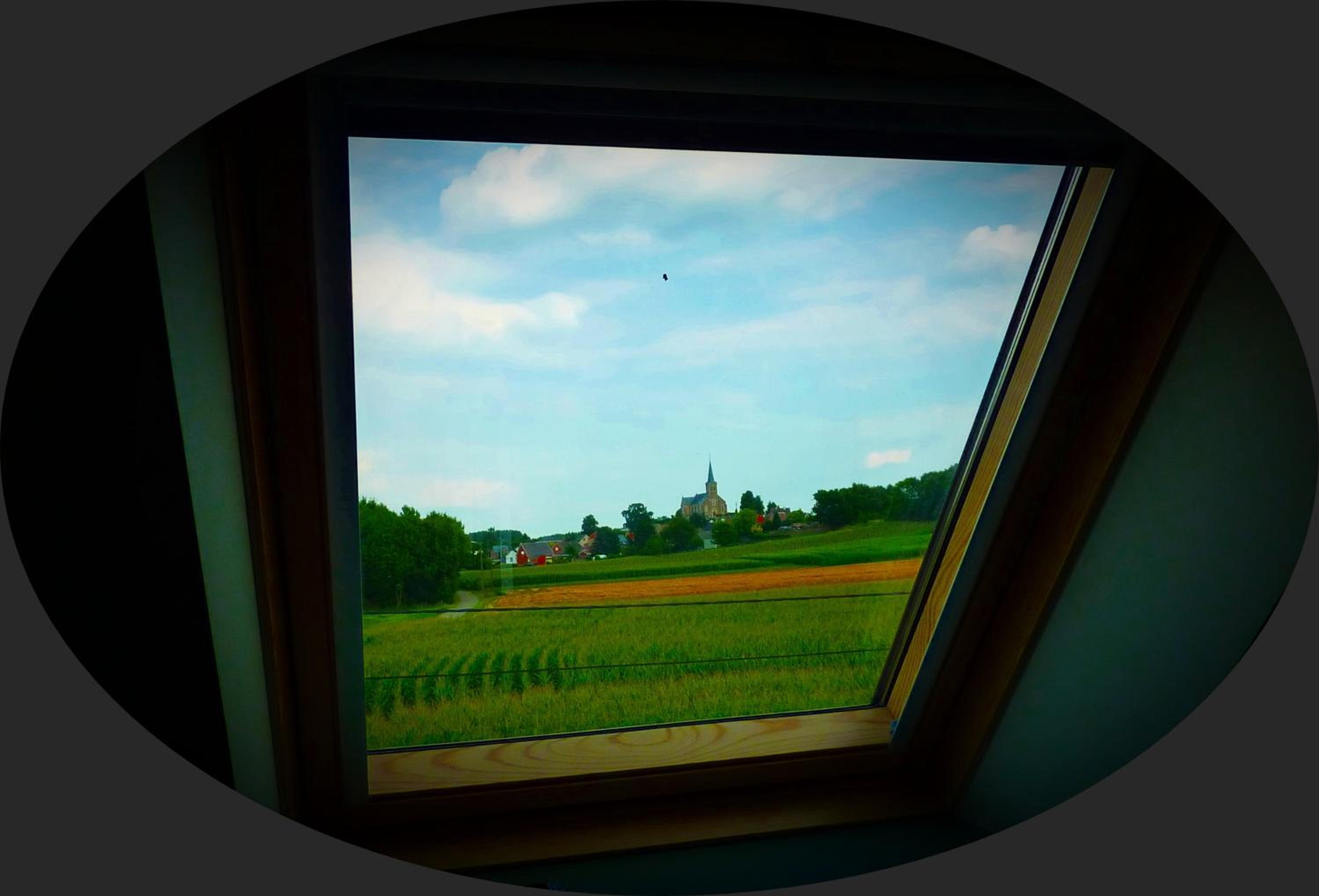 B&B Silentium, photo 50