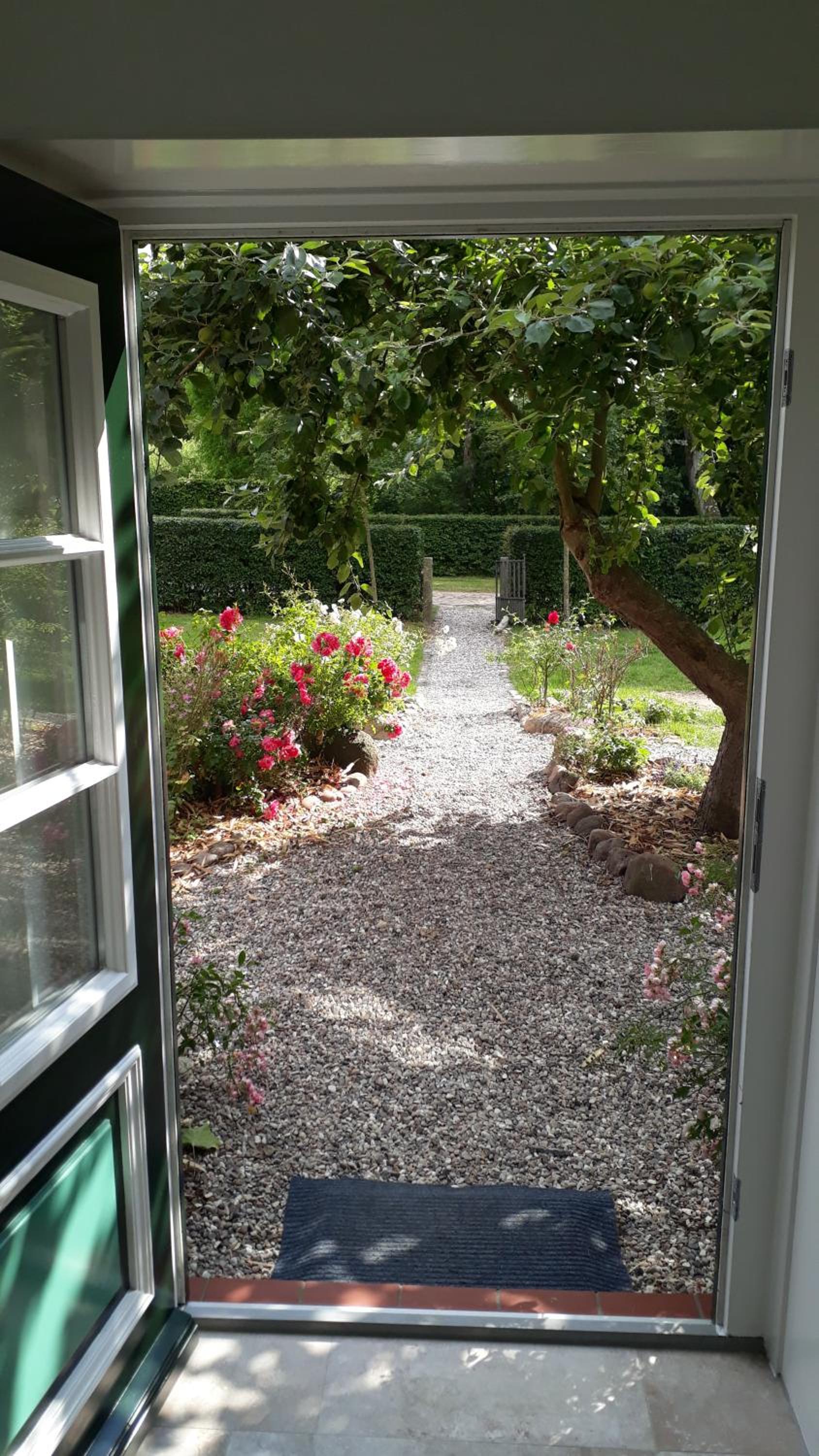 Photo 41