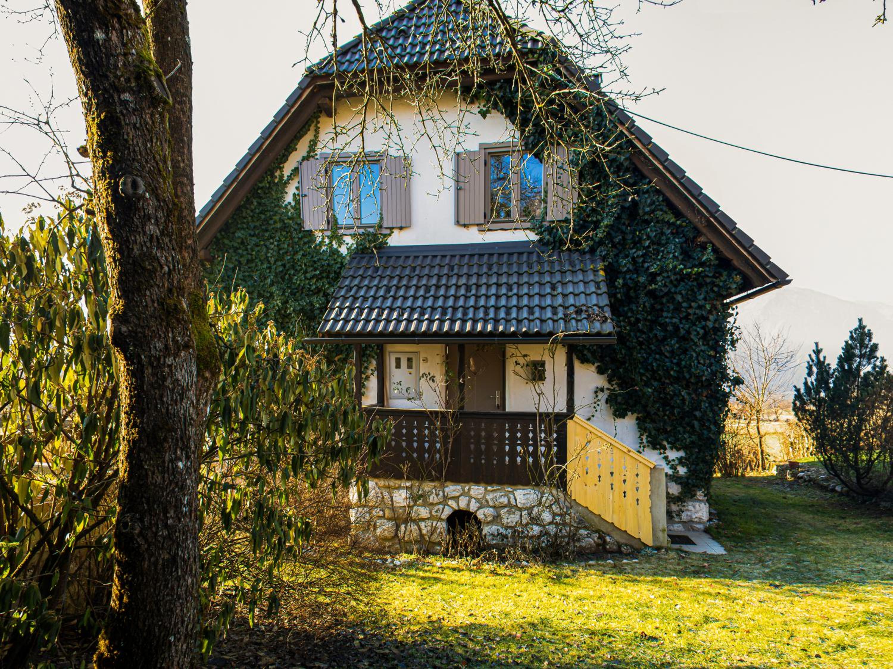 Photo 38