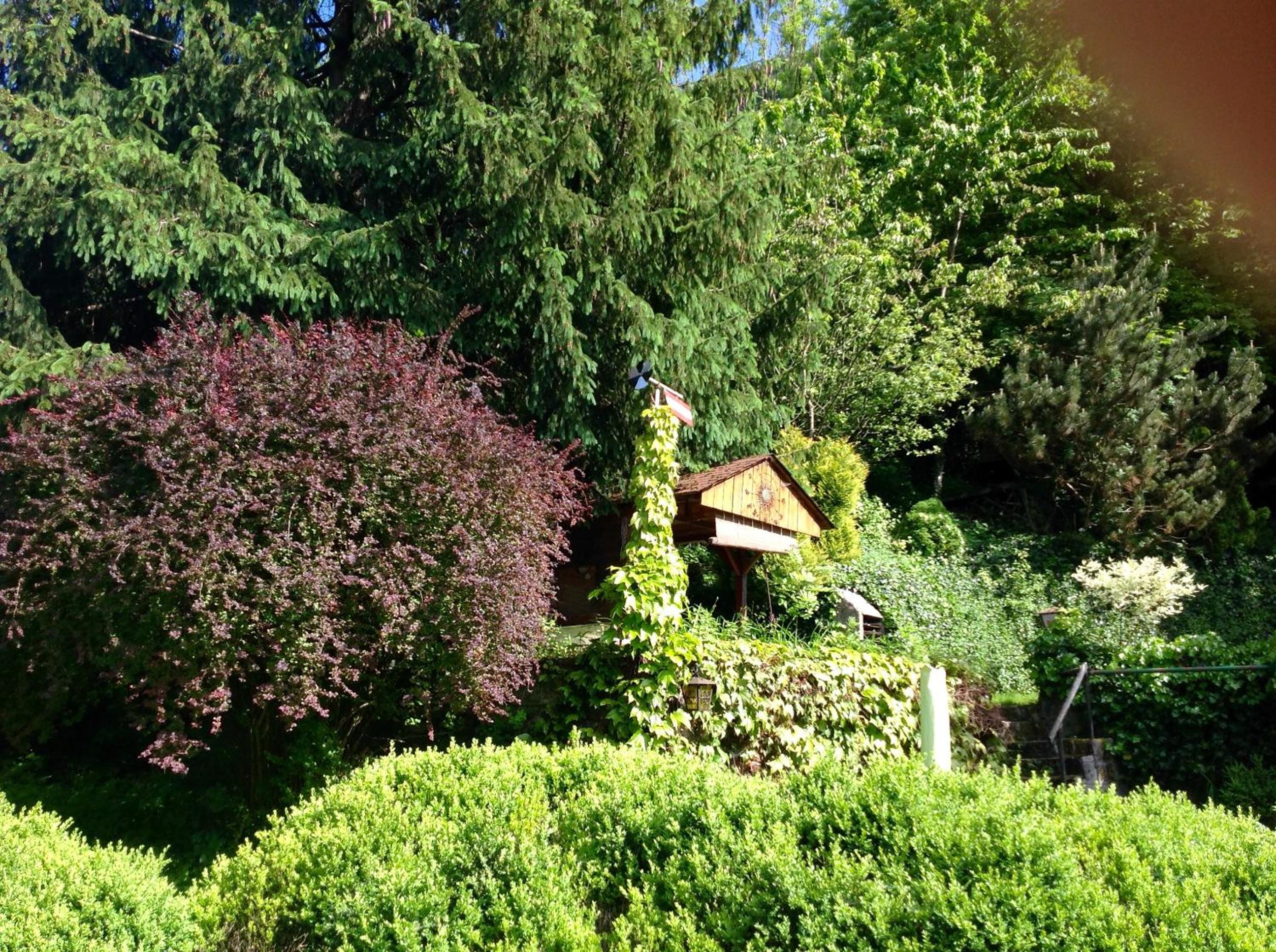 Haus Gnigl view 5