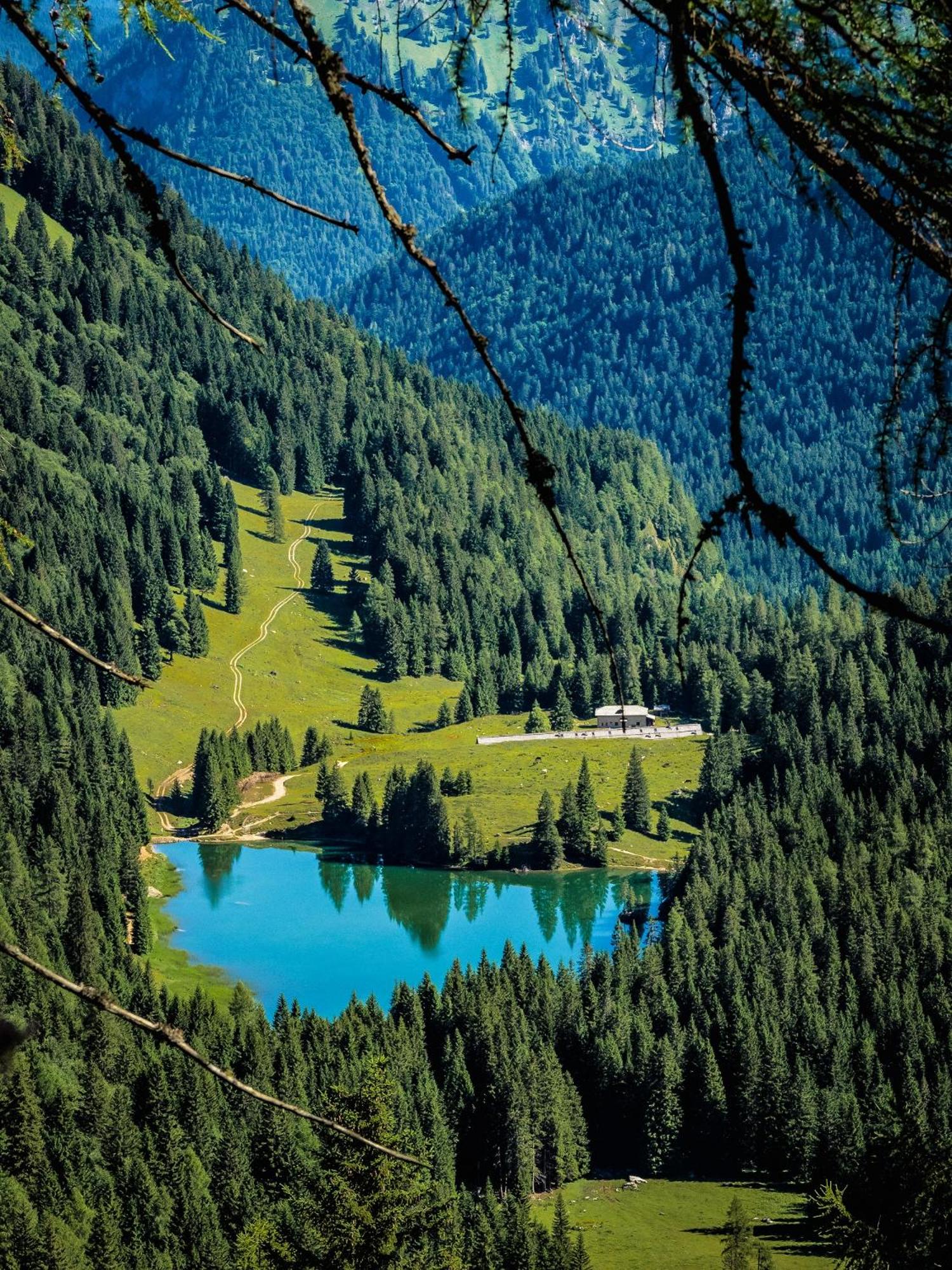 Baita Valon - Alpine Hideaway view 3