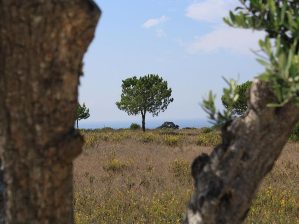 Photo 47